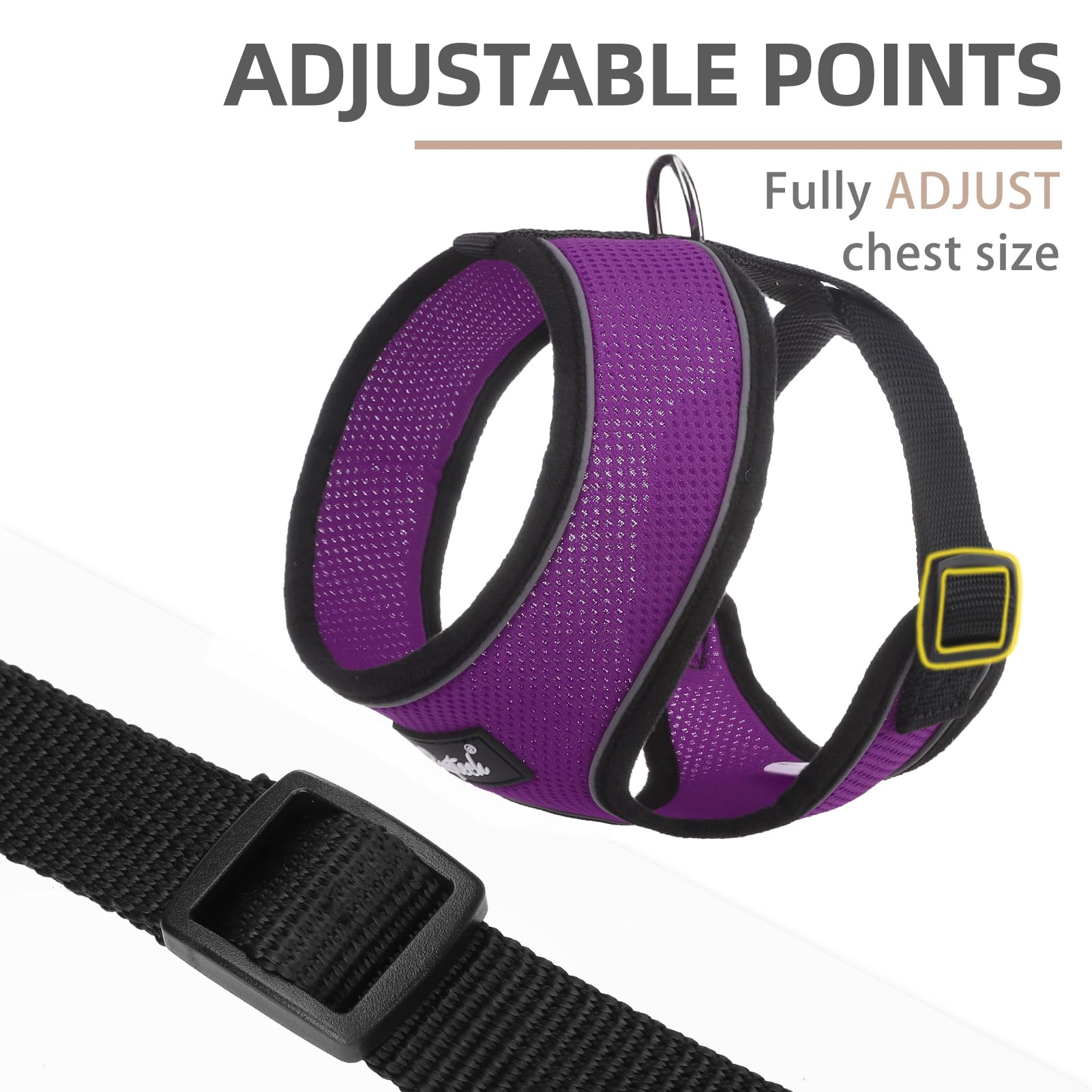 Pupteck Soft Mesh Dog Harness And Leash Set Pet Puppy Cat Comfort Padded Vest No Pull Harnesses, Solid Purple, S