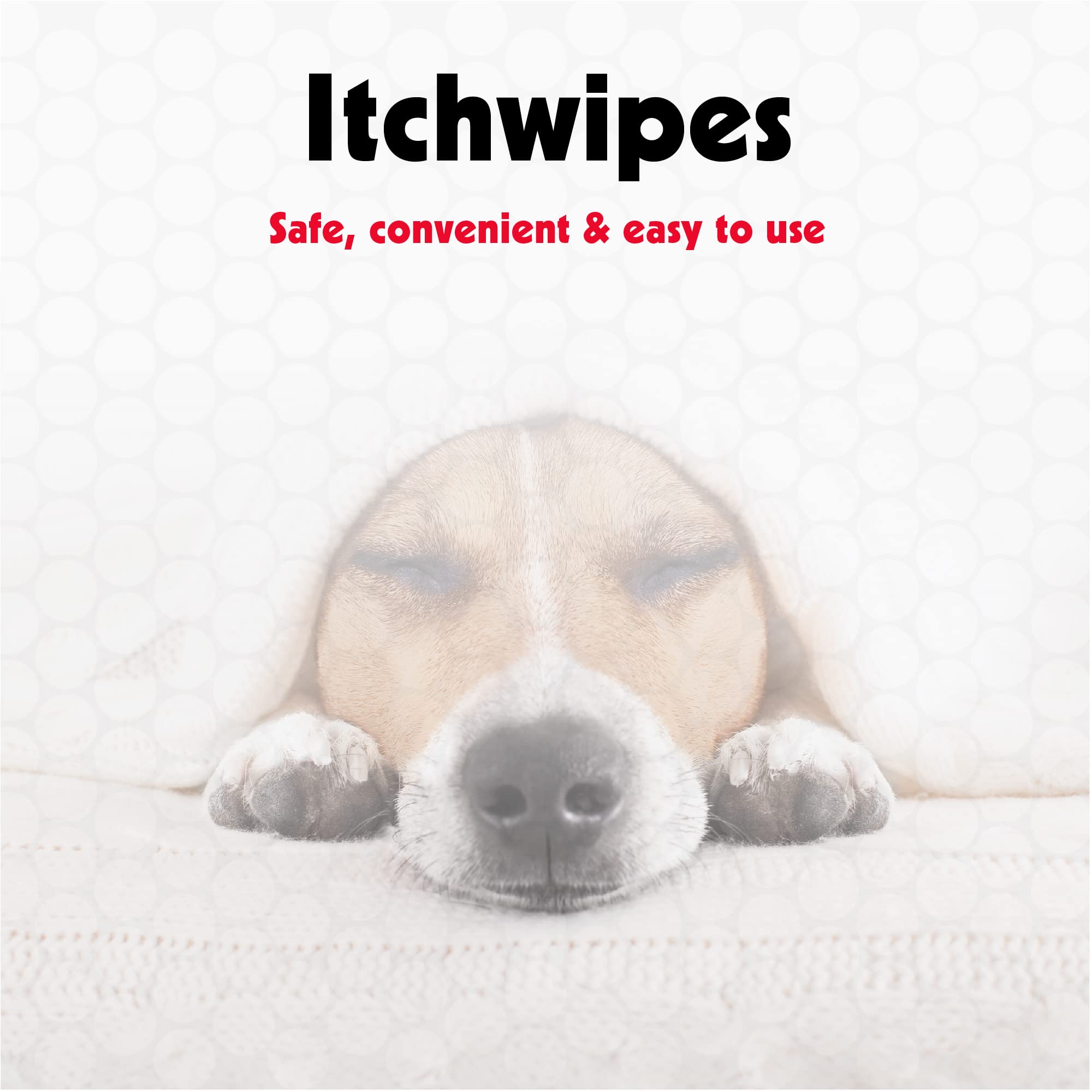 Petkin Anti Itch Wipes for Dogs & Cats - Soothes Skin Irritations, 30 Count, Disposable, White, Model PK5316