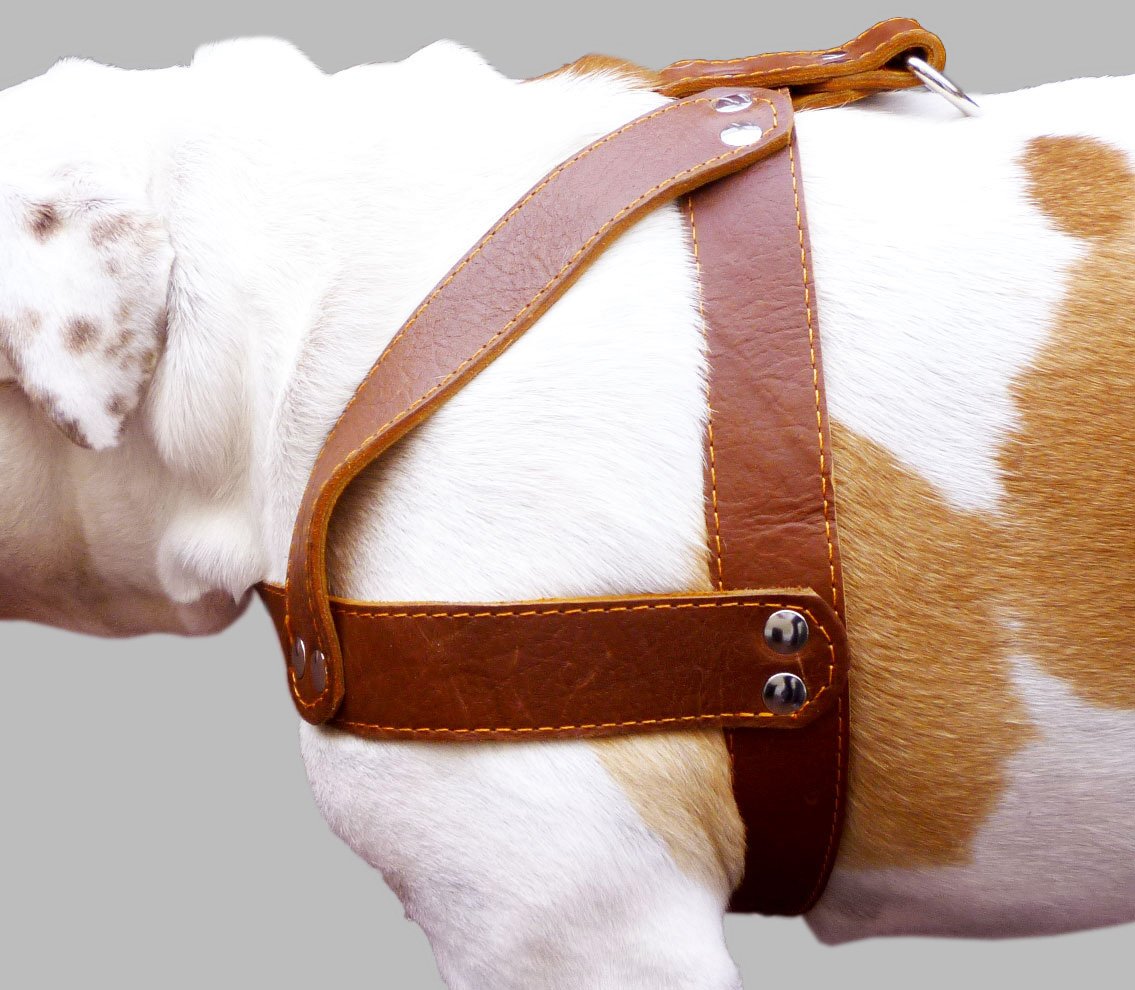 Brown Leather Dog Harness, Large. 28'-34' Chest, 1.5' Wide Straps, Rottweiler Bulldog