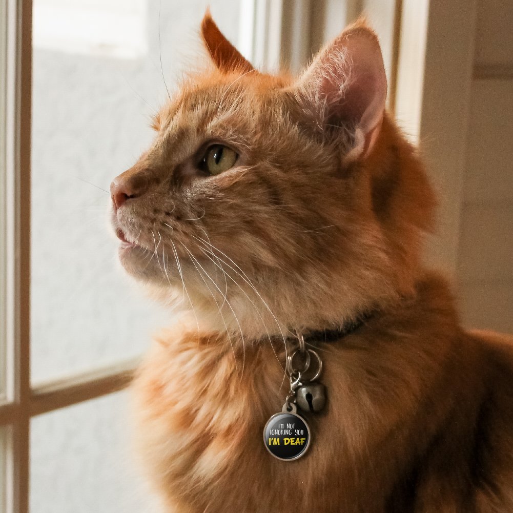 Graphics & More I'M Not Ignoring You I'M Deaf Chrome Plated Metal Pet Dog Cat Id Tag - Small