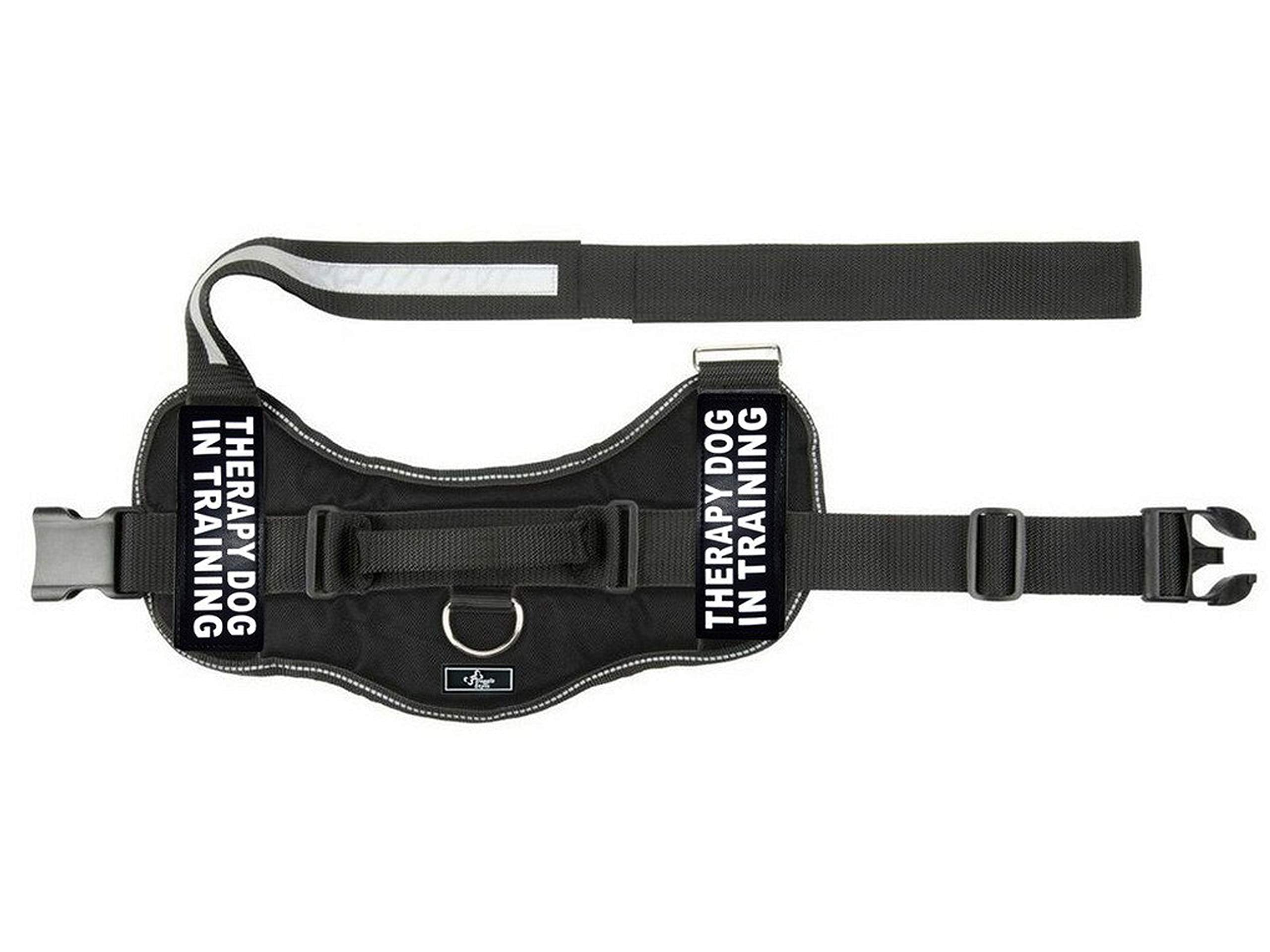 Therapy Dog In Training Nylon Dog Vest Harness. Purchase Comes With 2 Reflective Therapy Dog In Training Pathces. Please Measure Your Dog Before Ordering (Girth 14-18', Black)