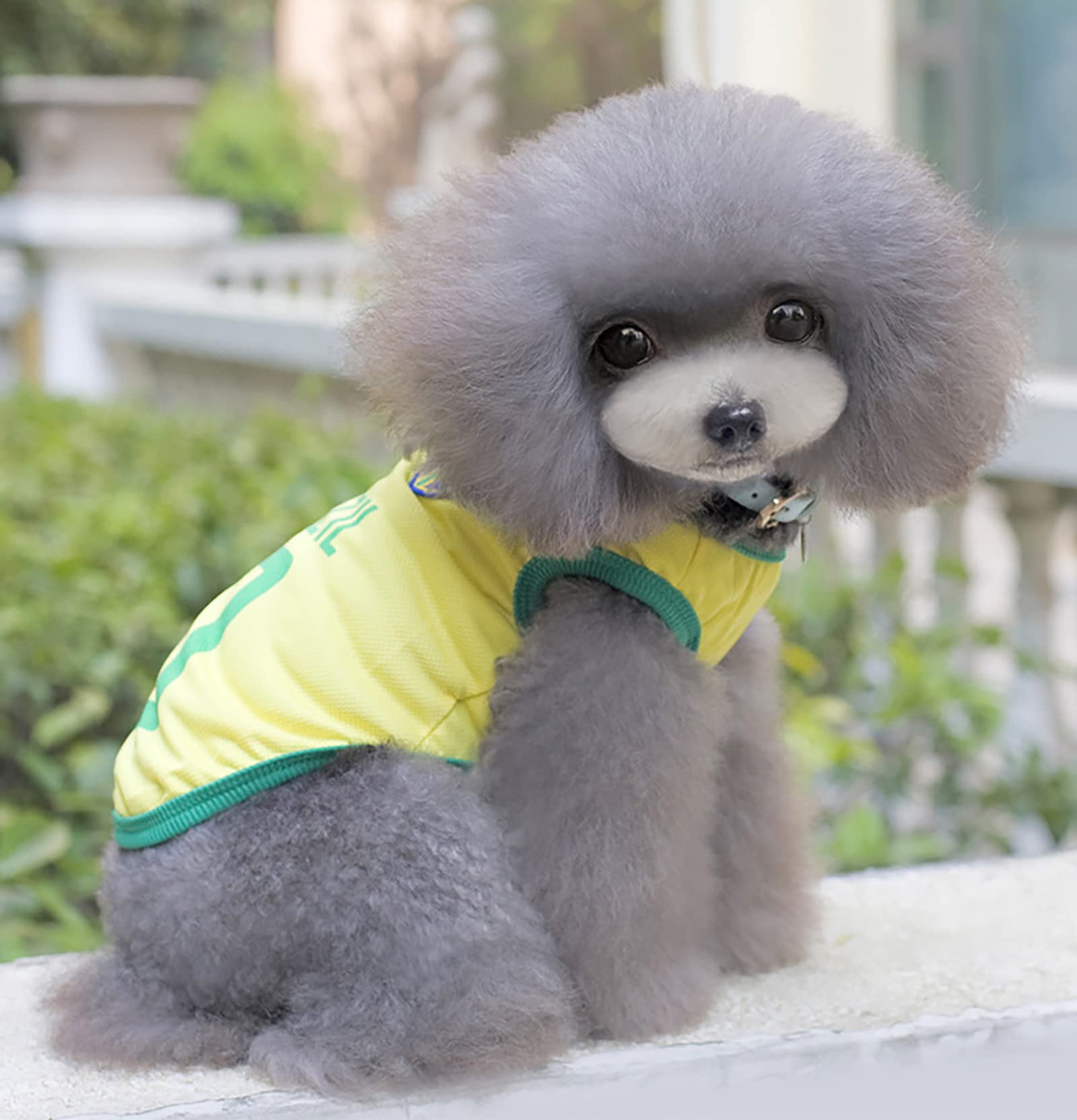 Gabefish Dog World Cup T Shirt Pets Football Jersey Sports Soccer National Team Vest Cat Summer Cool Clothes Apparel Brazil 2X-Large