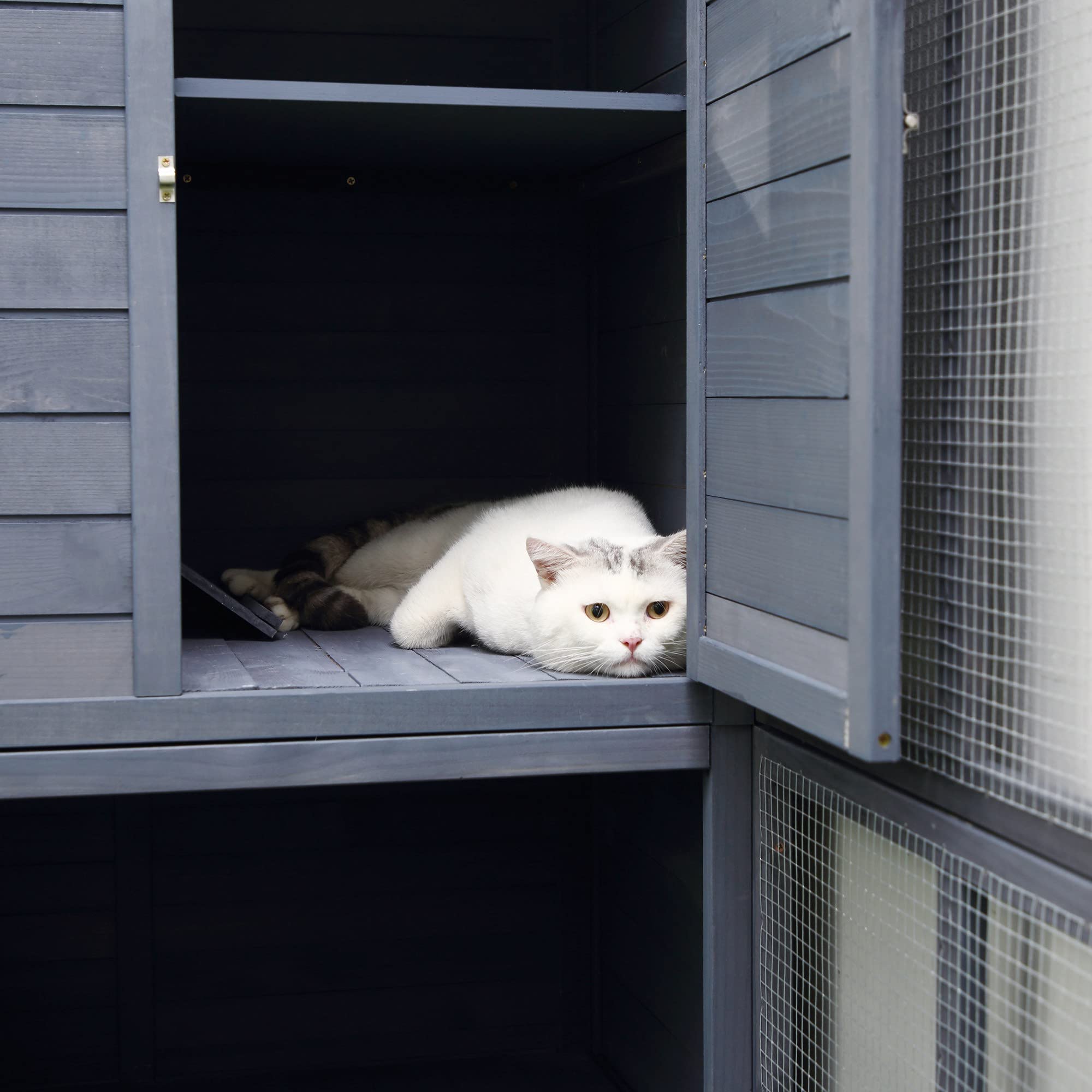 PawHut Large Cat House Outdoor Catio Wooden Feral Cat Shelter, Kitten Enclosure with Door, Cat Condo and Weather Protection Asph
