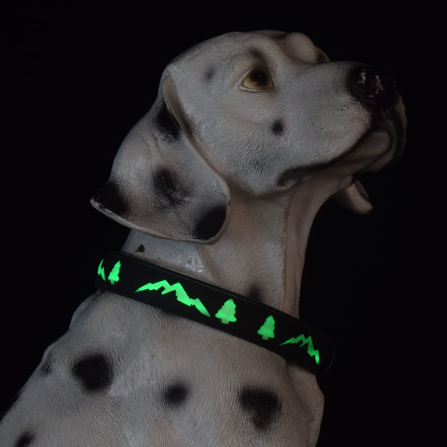 Dogled Led Dog Collar, 15 Light Modes, Usb-C Rechargeable, Silicone Material, Adjustable Size, (Black, S(7.87-11.8'))