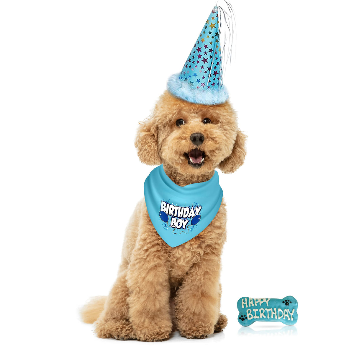 JT PET Dog Birthday Boy Party Pack with Bandana, Star Spangled Party Hat with Adjustable Elastic, Tassels and Feathery Trim, and