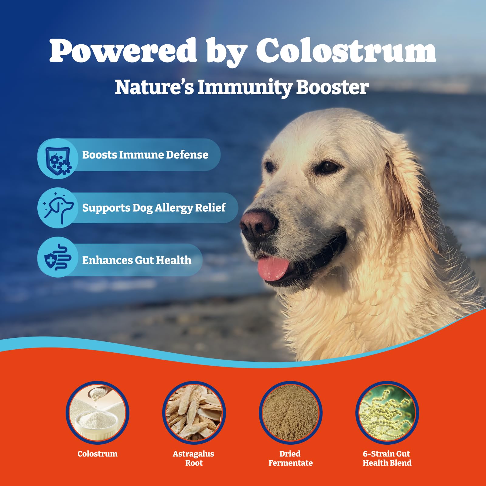YoYoBay Dog Allergy Relief Chews - 180 Soft Chews, Turkey & Pumpkin Flavor - Immune Support & Itch Relief with Colostrum, Astrag