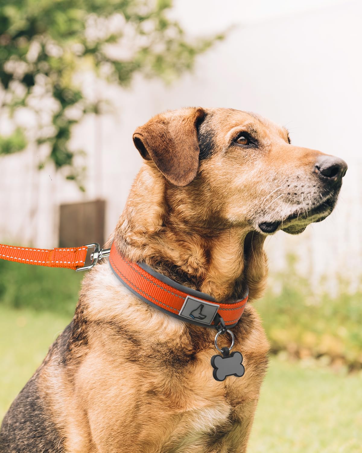 Joytale Dog Collar For Extra Large Dogs, Neoprene Padded And Adjustable, Reflective Wide Heavy Duty Pet Collars With Durable Met