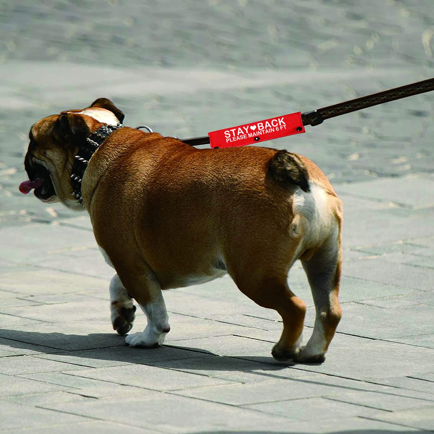 Funny Dog Leash Sleeve Stay Back Please Maintain 6 Ft Dog Leash Wrap Wrap Alert Hanging Id Patch Tag Pet Birthday Gift(Maintain 6 Ft-Sleeve)