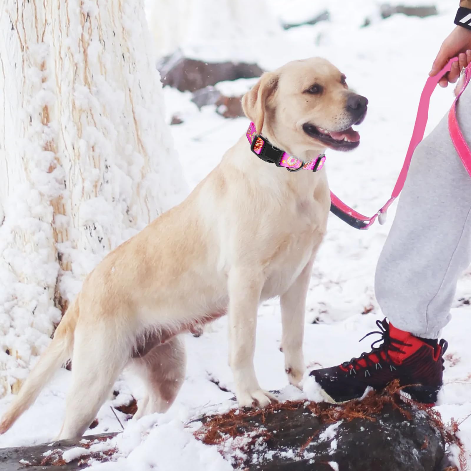 Dog Collar Adjustable Puppy Collar For Small Medium Large Dogs, Nylon Safety Collars With Leopard Print Night Visibility, Pink M