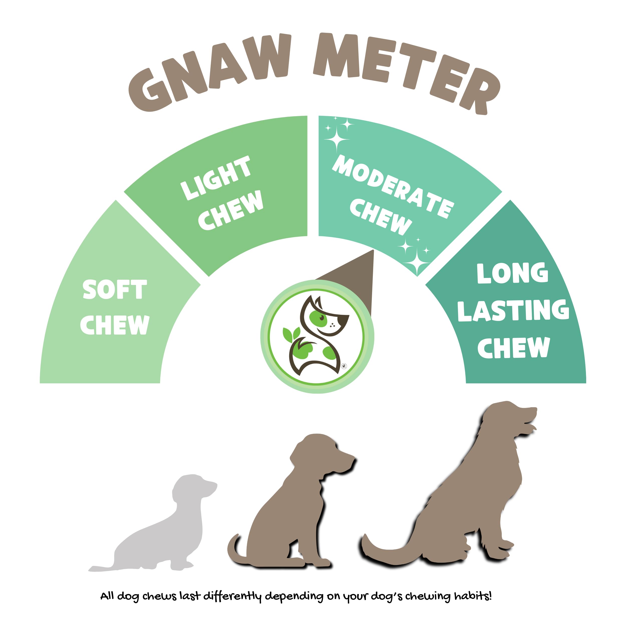 Nature Gnaws Beef Gullet Chews for Large Dogs, 20 Count Natural Jerky Sticks, Rawhide Free, 9-10" - Model B01LOXXUNU
