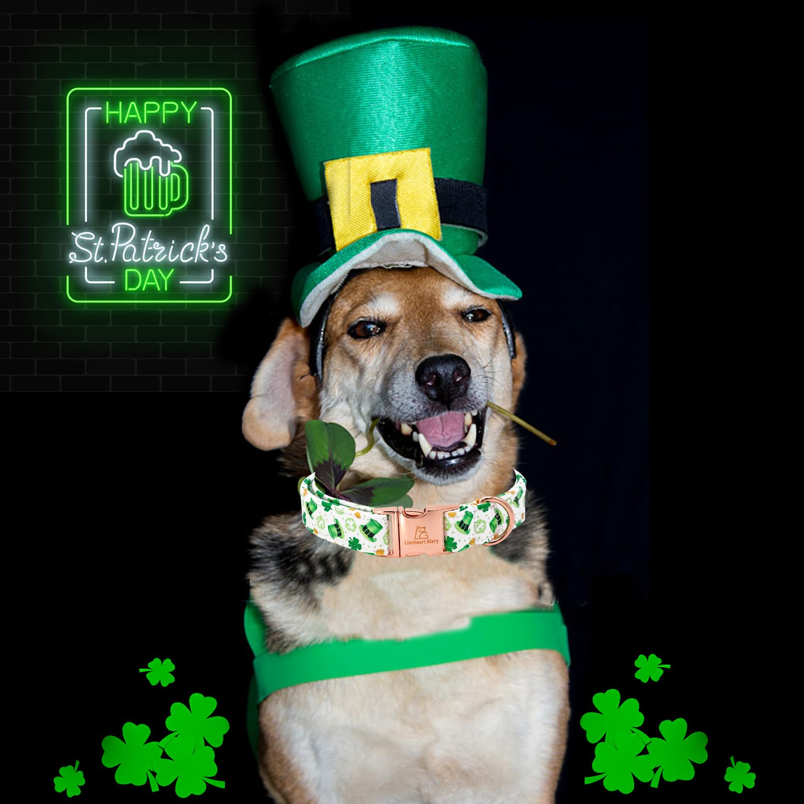 Lionheart Glory St. Patrick Dog Collar - Green Clover Collar For Medium Dogs - Adjustable Heavy-Duty Spring Collar - Pet Gift