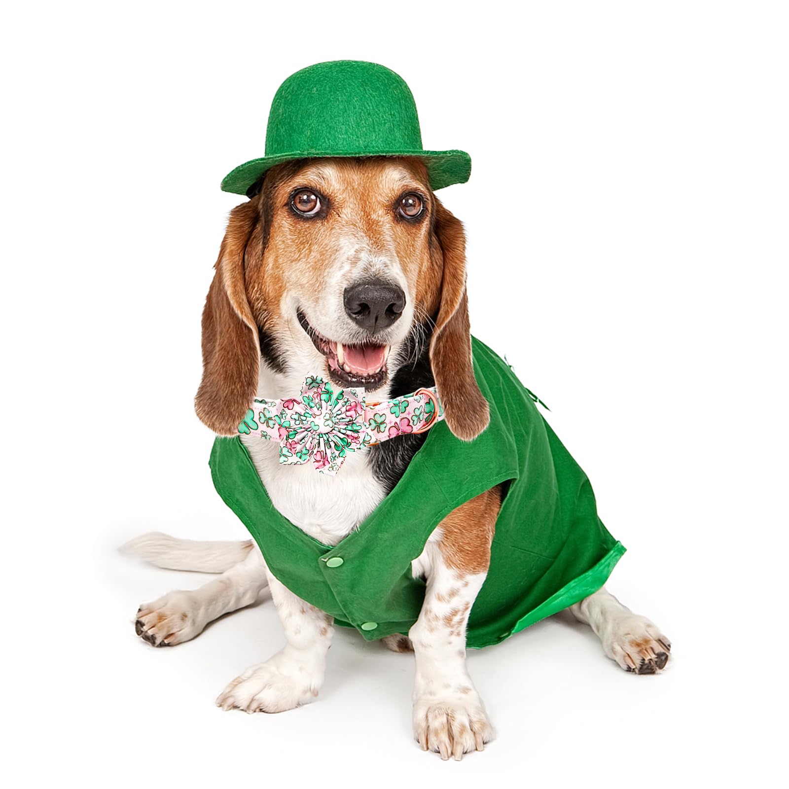 Lionheart Glory St. Patrick'S Day Collar With Flower Design For X-Small Dogs, Green Collar With Lucky Clover Shamrock Pattern