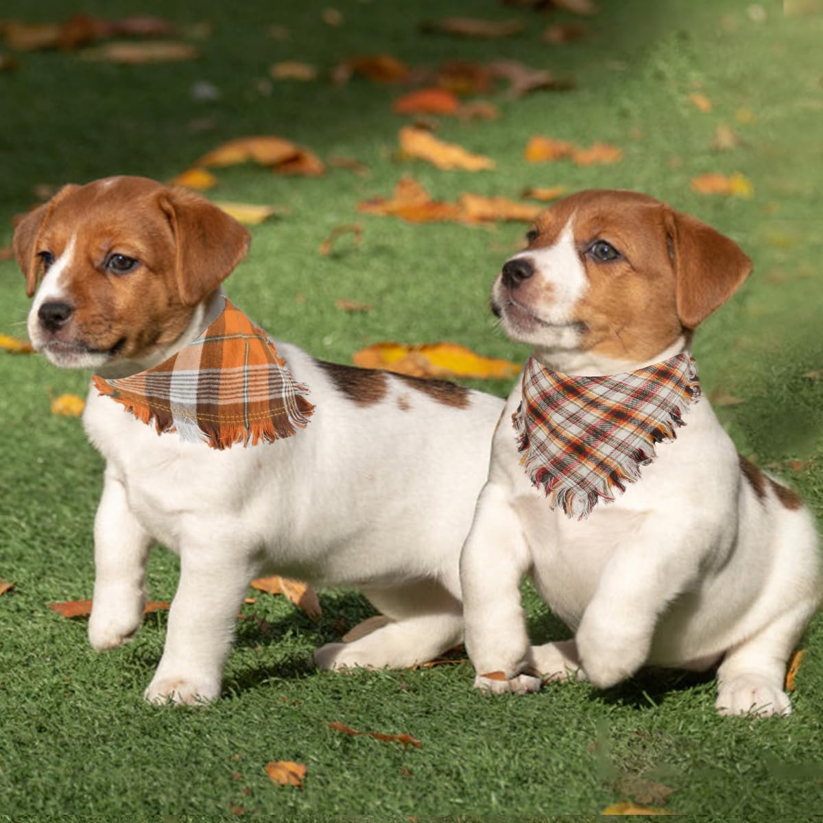 Kytely 2 Pack Fall Dog Bandanas Autumn Dog Bandana Thanksgiving Plaid Pets Scarf Triangle Bibs For Cat Small Dogs Pets