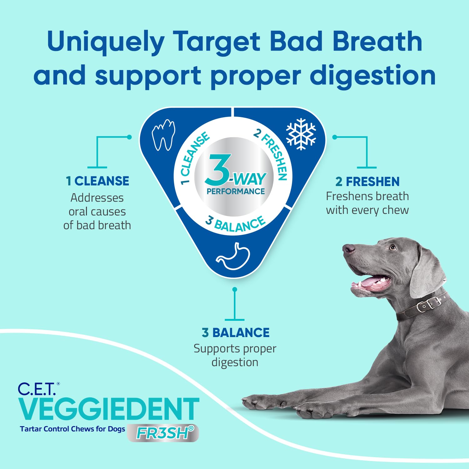 Virbac C.E.T. VEGGIEDENT FR3SH Tartar Control Chews for Dogs, Extra Small, 8 oz (Pack of 1)