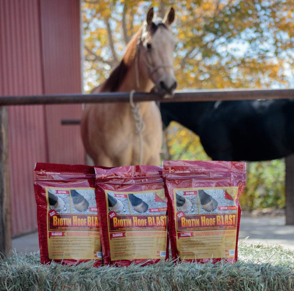 Hoof Supplements for Horses - Biotin Hoof Blast with 100mgs of Biotin per Serving - 10 lb, Concentrated Equine Hoof Health Supp