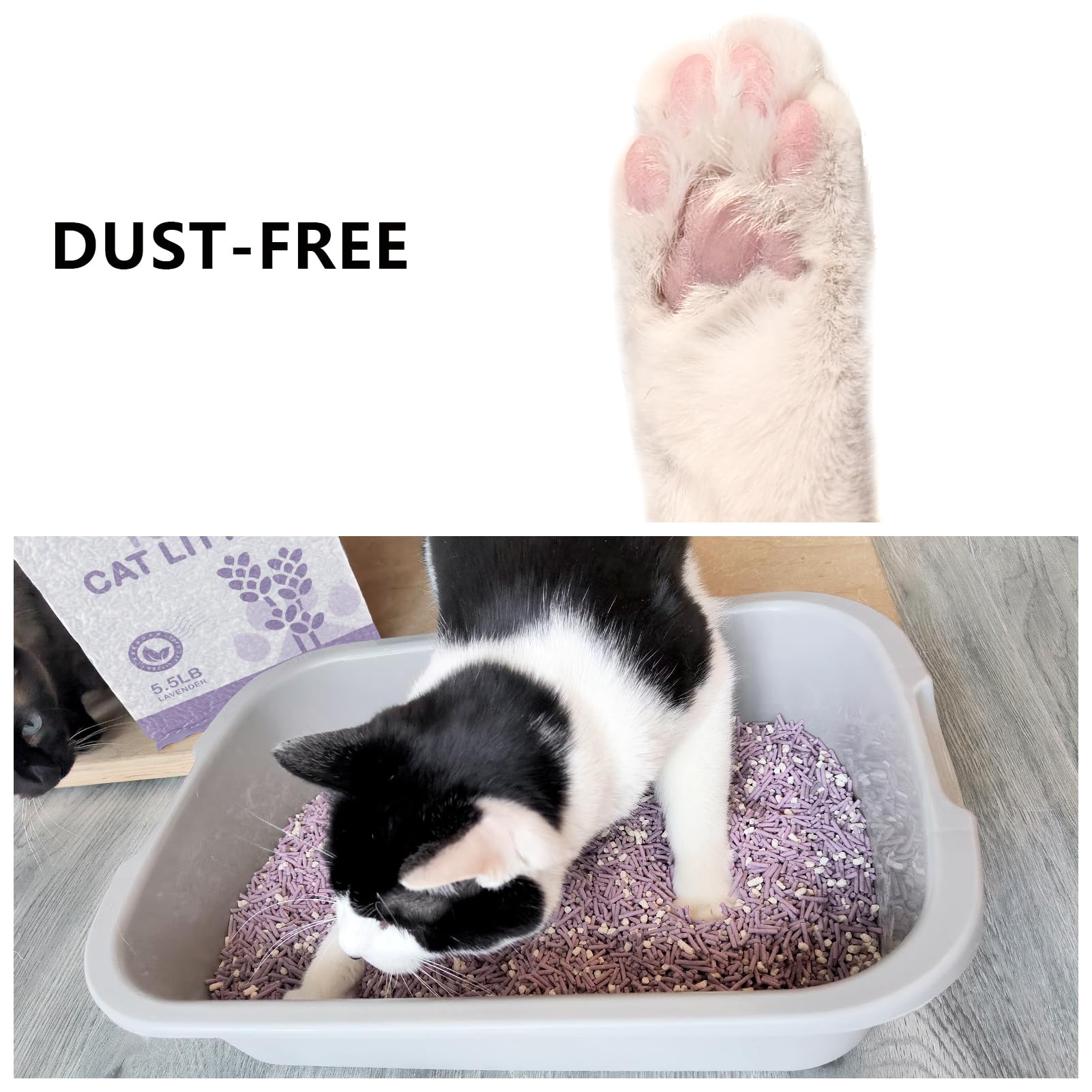 Tofu Cat Litter, Dust-Free Kitty Litter, Fast Drying, Ultra Absorbent Clumping Cat Pellets, Lavender Odor Control, Less Scatteri