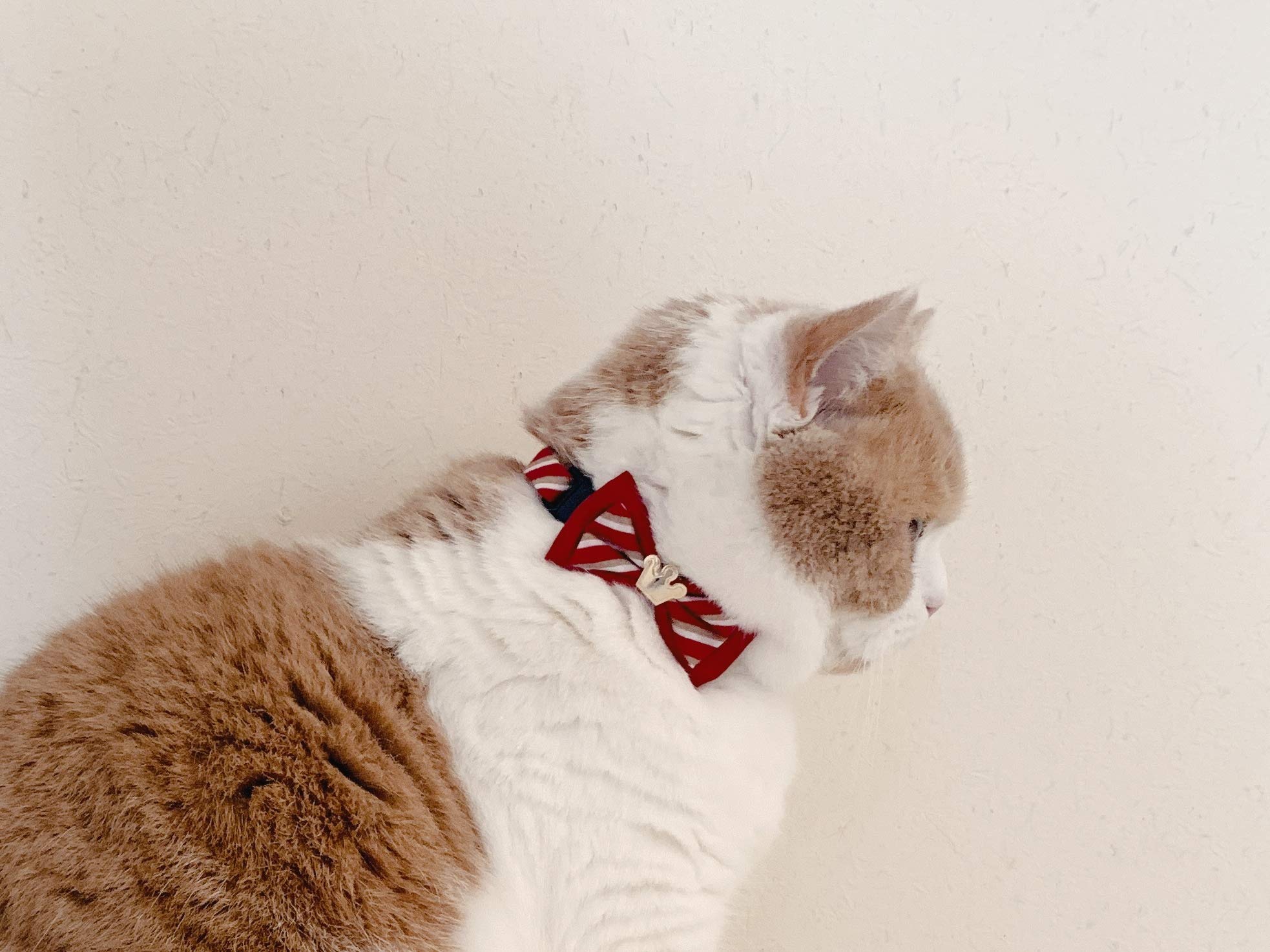 Necoichi Regal Crown Cat Collar (Red) With Bell Safety Breakaway Soft Lightweight For Cats Kitty Kitten Japanese Stylish Pattern, No.1 Seller In Japan