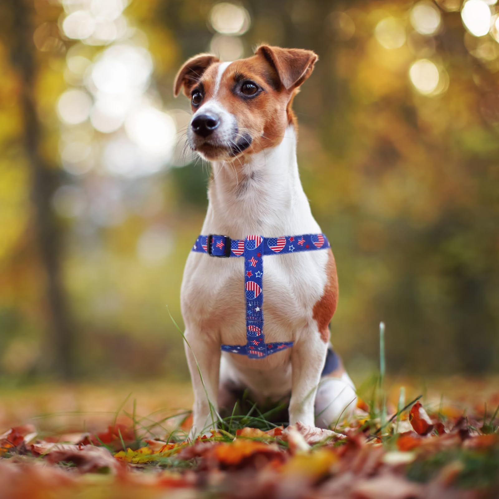 Pupteck No Pull Dog Harness Soft Adjustable Basic Nylon Step In Puppy Vest Outdoor Walking With Id Tag, American Flag, M