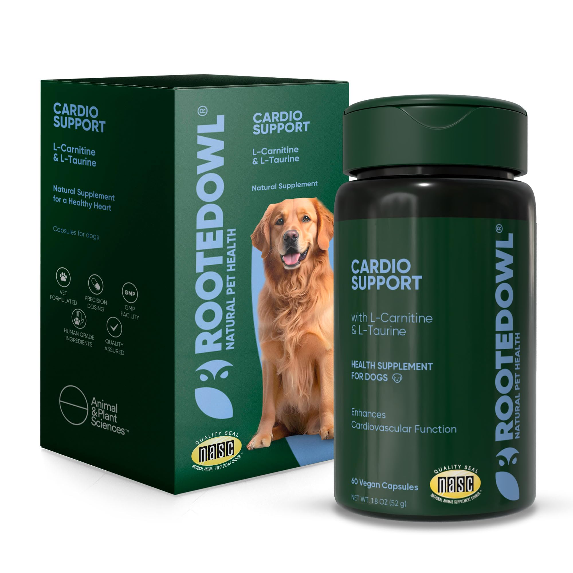 Rooted Owl Cardio Support - L-Taurine and L-Carnitine Supplement for Dogs - Cardiovascular and Heart Health Supplements for Dogs