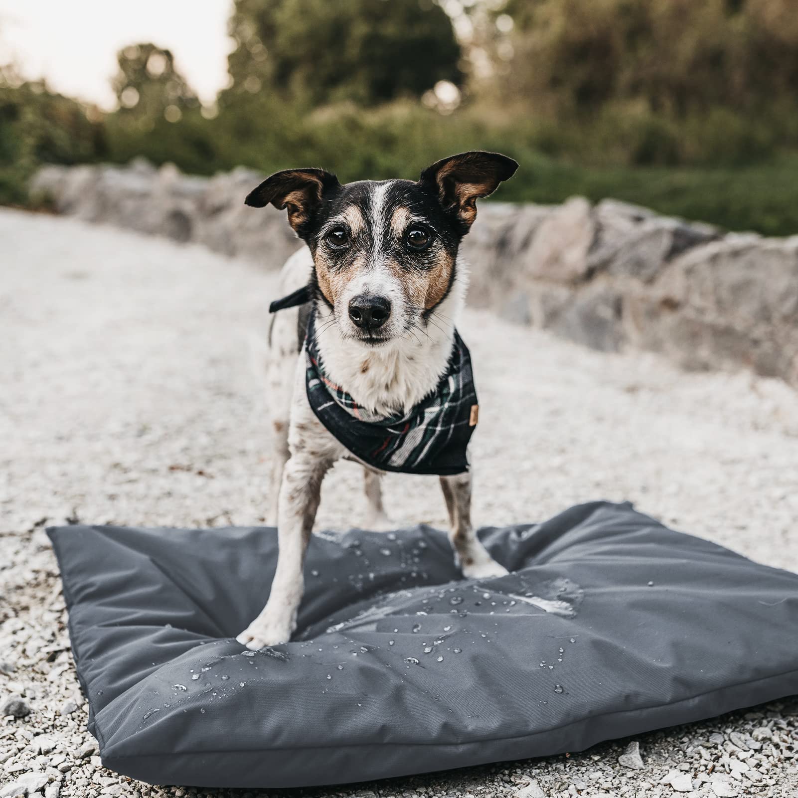 Ananmei Dog Bed Covers For 44' L × 32' W × 4' H 600D Oxford Waterproof Dog Bed Cover With Zipper And Carry Handle Dog Bed Covers Replacement Washable, Cover Only (Gray)