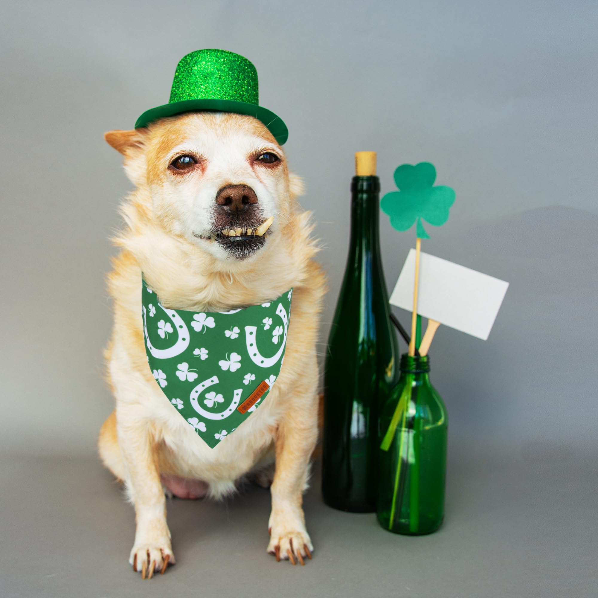 ADOGGYGO St. Patrick 's Day Dog Bandana, Green Shamrock Scarf, Multi Size Offered, Saint Patrick Day Bandanas for Medium Large D