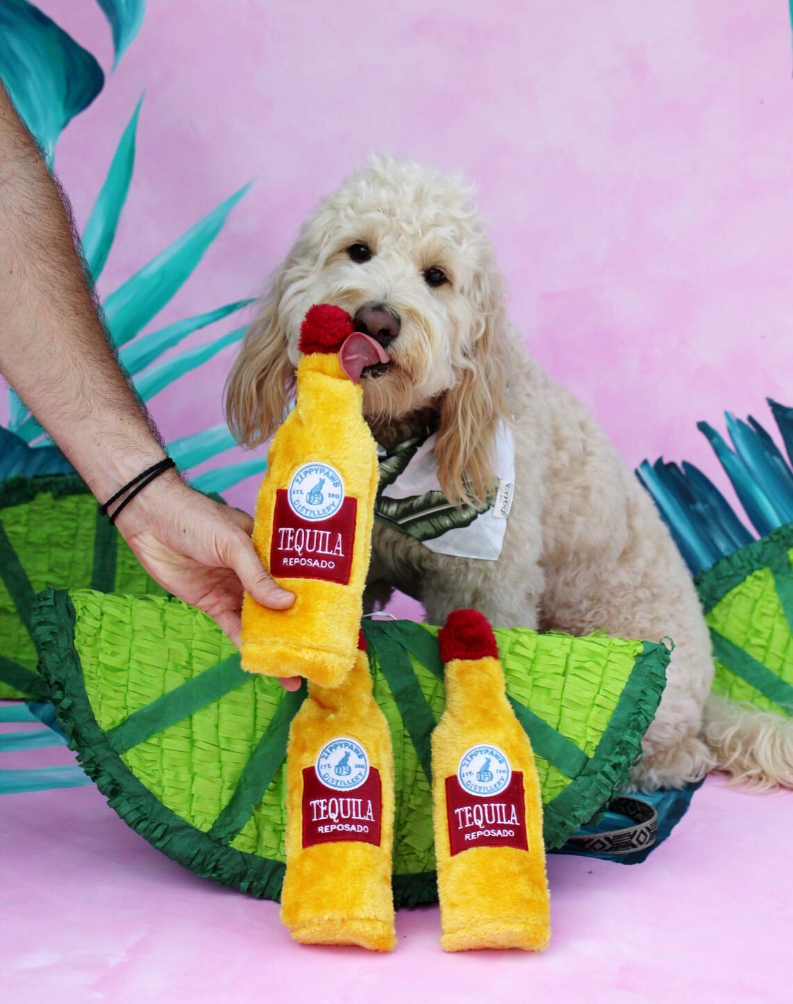 Zippypaws Happy Hour Crusherz - Zippy Paws Dog Toy For Large And Small Dogs, Crinkle Dog Toy With No Stuffing, Squeaky Dog Toy Pack Of 1, Tequila