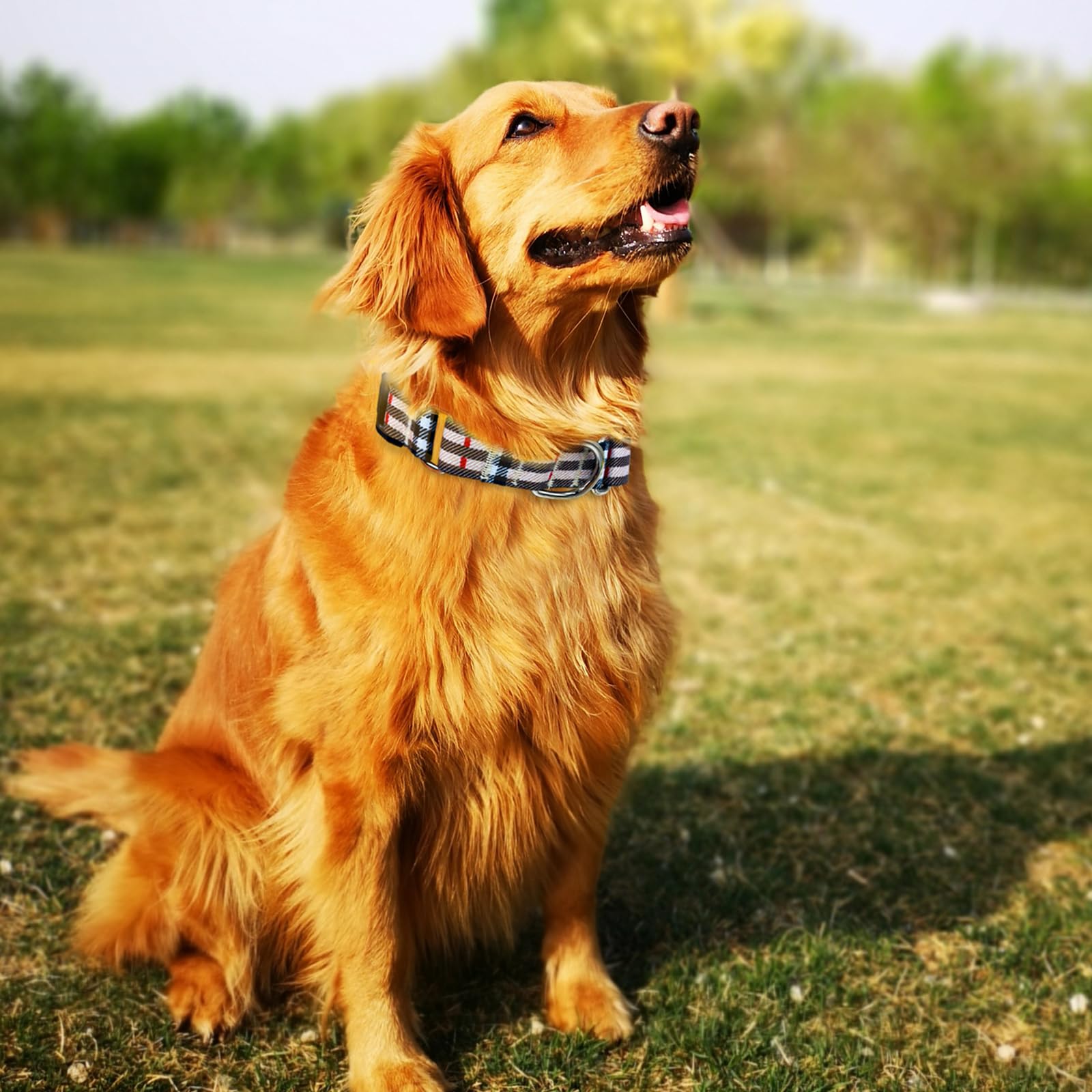 Hikiko Dog Collar For Small Medium Large Dogs, Adjustable Nylon Martingale Collars With Quick Release Buckle (Beige Plaid,L)