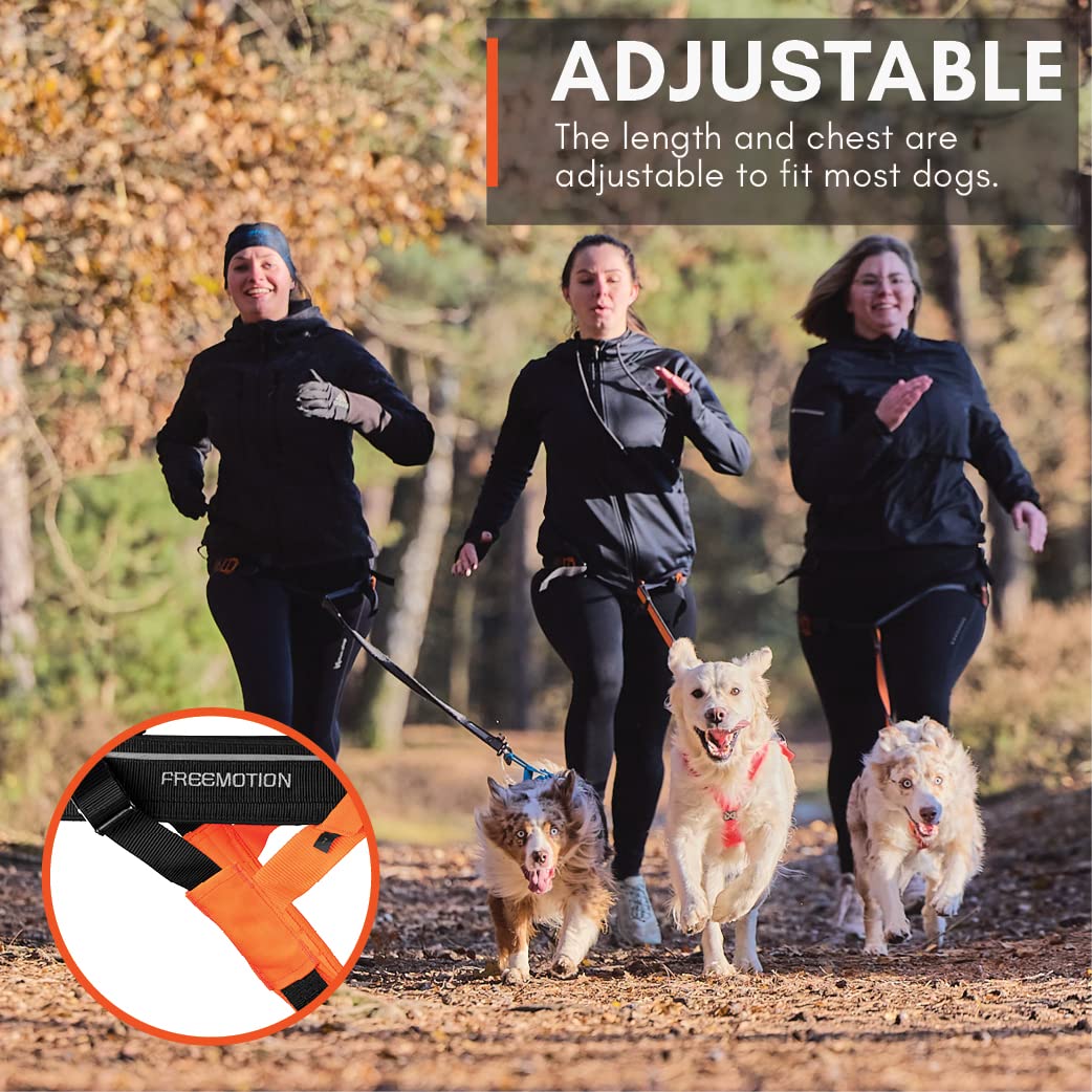 Non-Stop Dogwear Freemotion Harness 5.0 Dog Pulling Harness For Sports Like Running, Biking And Skiing With Dogs, Professional Adjustable Dog Harness, Orange/Black, Size 5