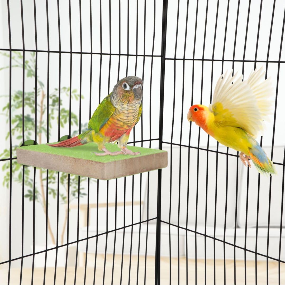 Hypeety Colorful Bird Perch Stand Platform For Parrot Macaw African Greys Budgies Parakeet Cockatiels Natural Wood Paw Grinding Clean Cage Toy (Random Color)(B)