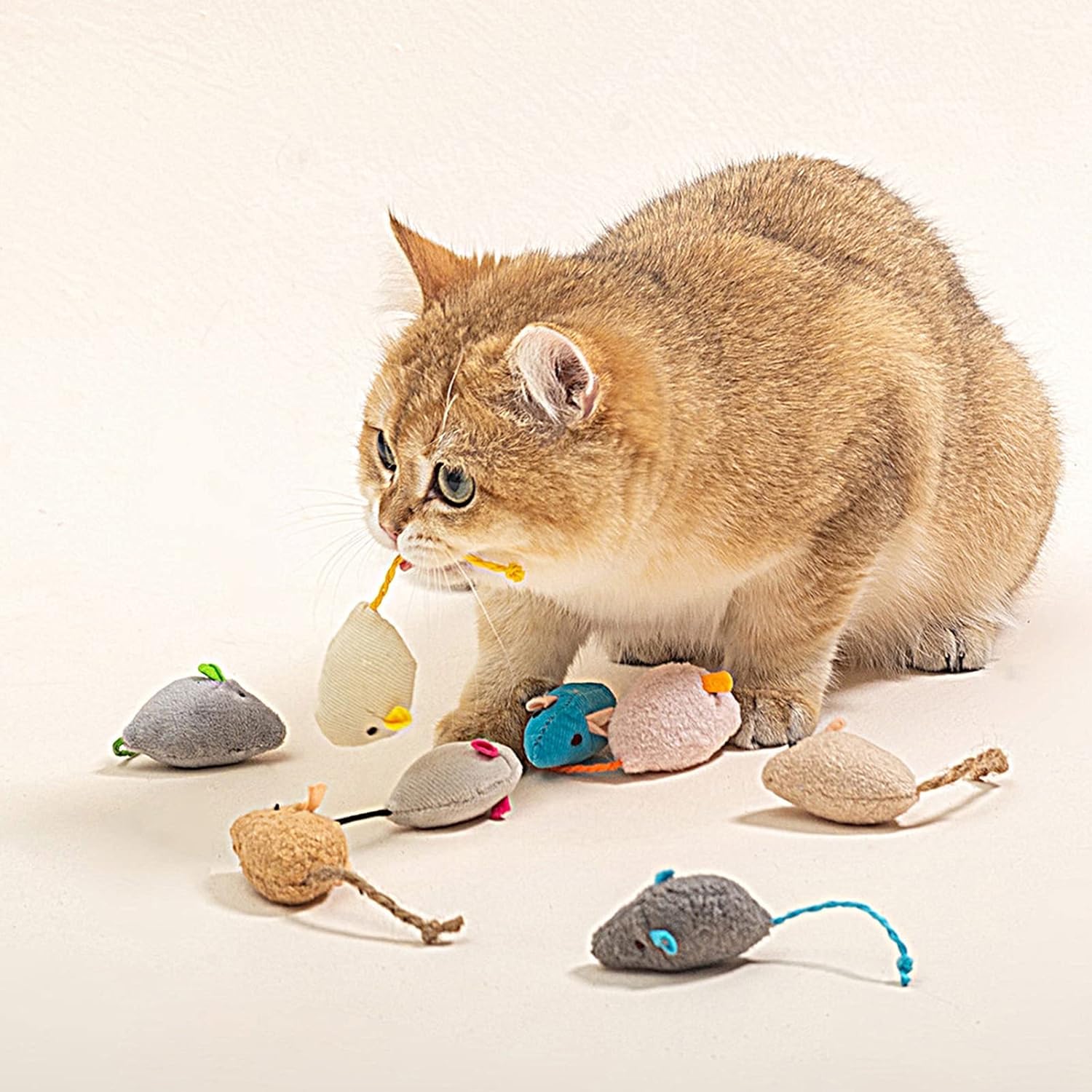 5Pcs Blue Catnip Toy, Catnip Toys Balls, Teaser Toy Mouse Shape Interactive Lightweight Relieve Boredom Pet Teething Toy Cat Sup