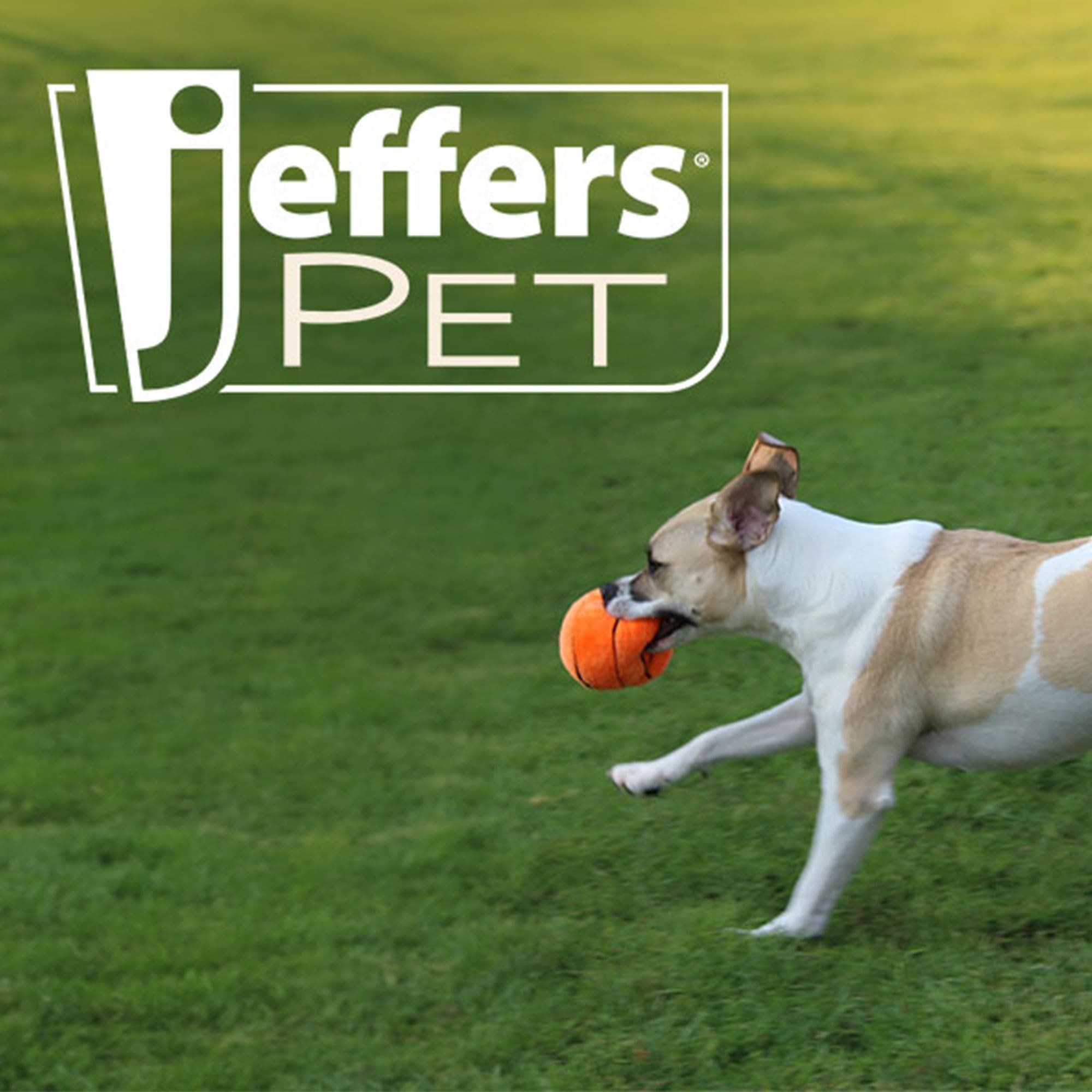Jeffers Pet Plush Dog Toy With Squeaker, Baseball 4'' - Soft Crinkle Fabric, Safe & Durable, Healthy Fun For Small & Medium Dogs