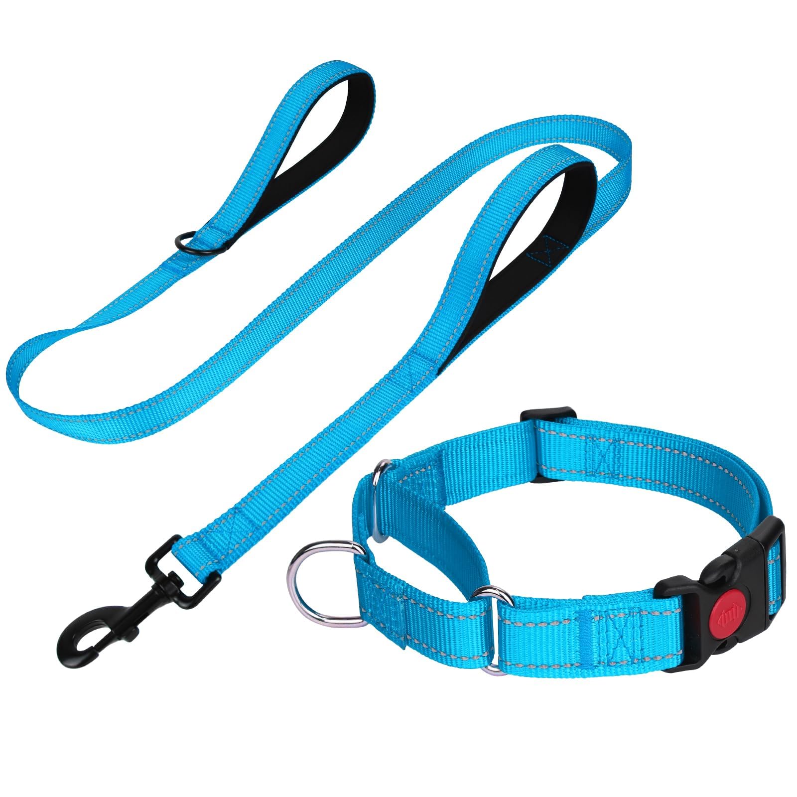 FunTags Reflective Martingale Collar for Dogs, Quick Release Buckle, 5FT Double Handle Dog Leash Padded, Dog Collar and Leash Se