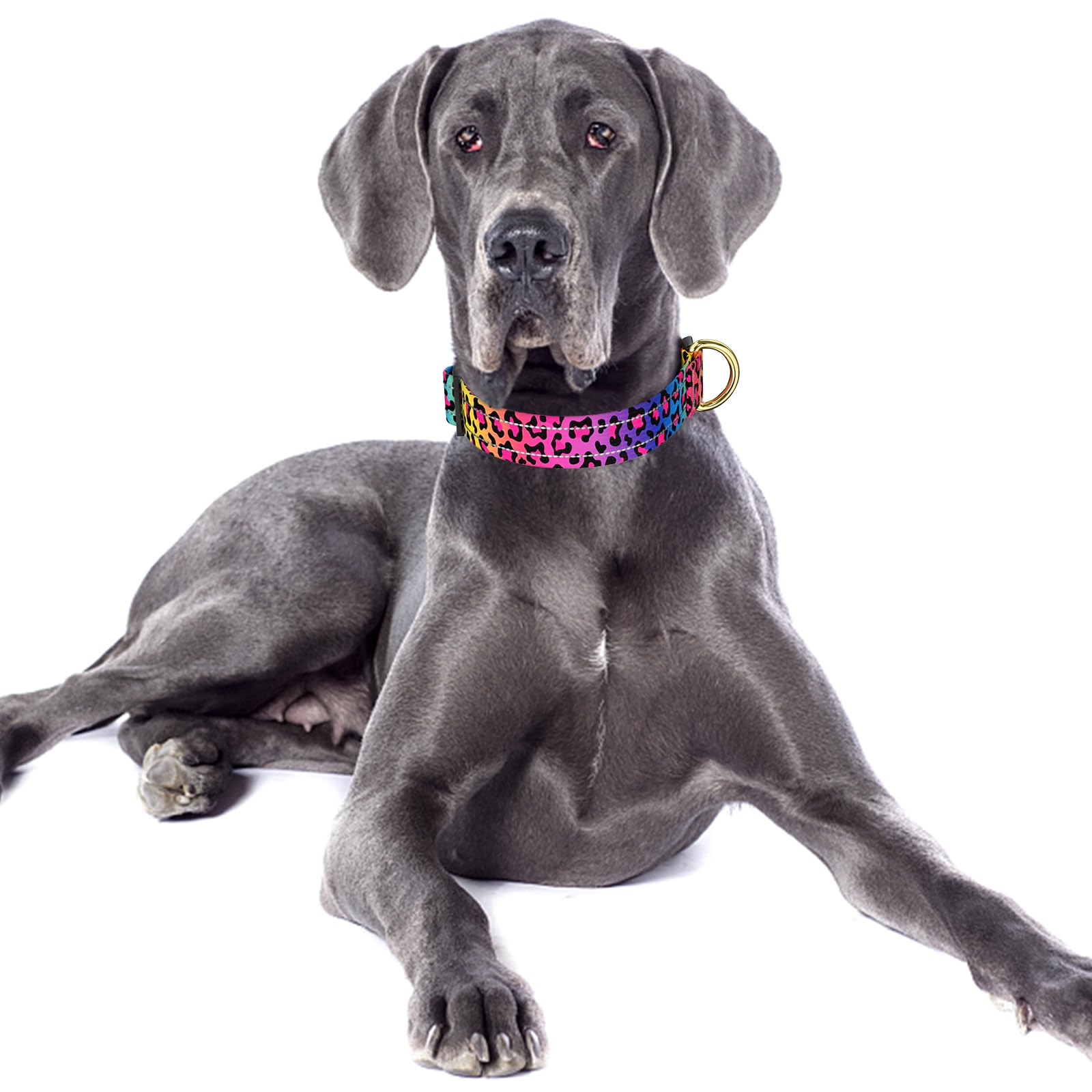 Tmoodel Reflective Dog Collar For Large Dogs, Cute Leopard Style Adjustable Heavy-Duty Nylon Puppy Collar For Boy And Girl Femal