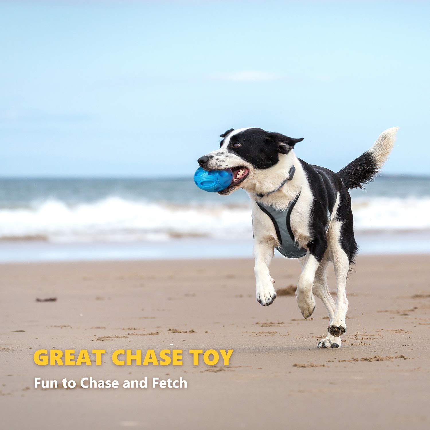EASTBLUE Squeaky Dog Chew Ball - Indestructible Rubber Toy for Medium/Large Breeds - Blue