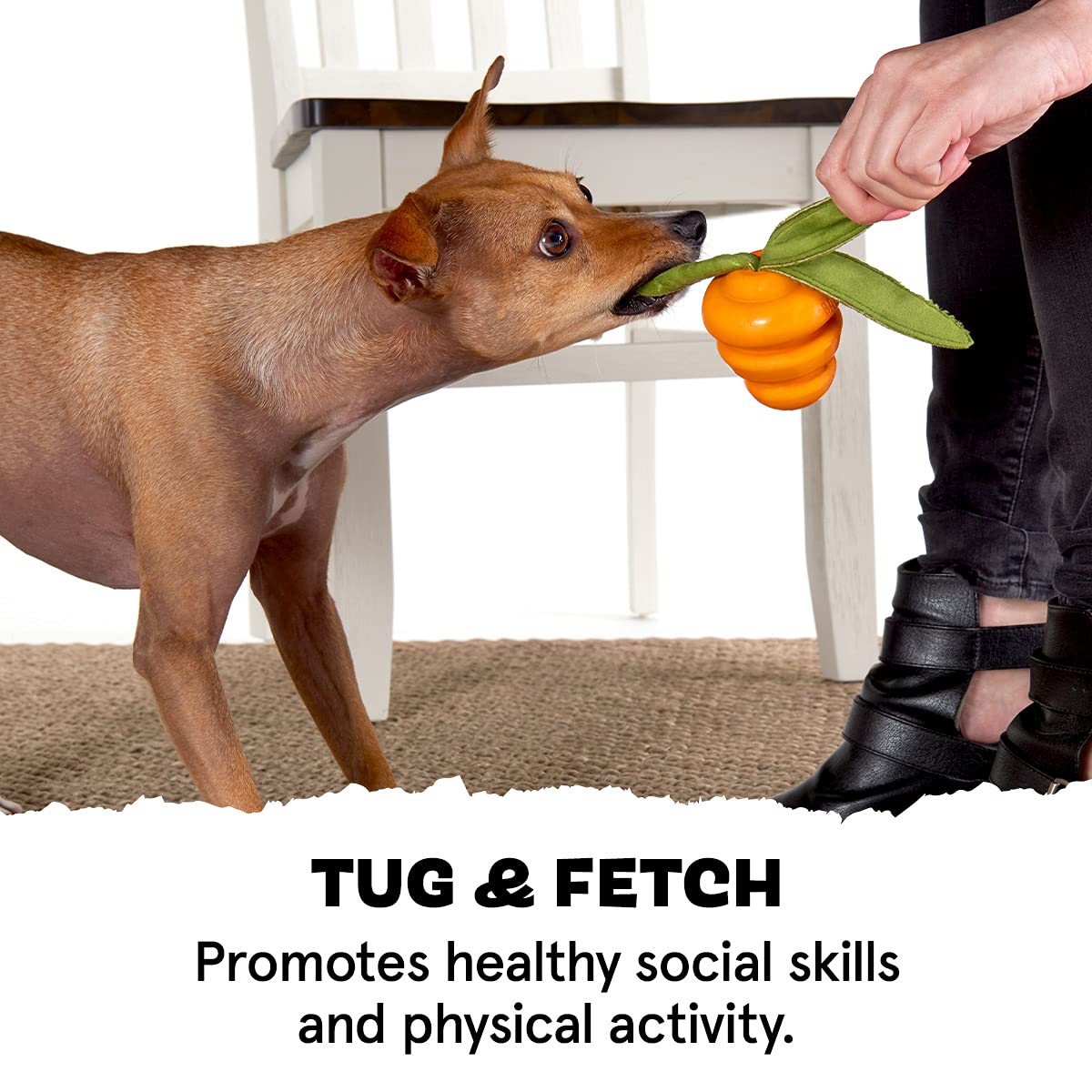 Barkbox Super Chewer Tough Dog Chew Toys For Aggressive Chewers, Treat Dispensing (Carrot - Small)