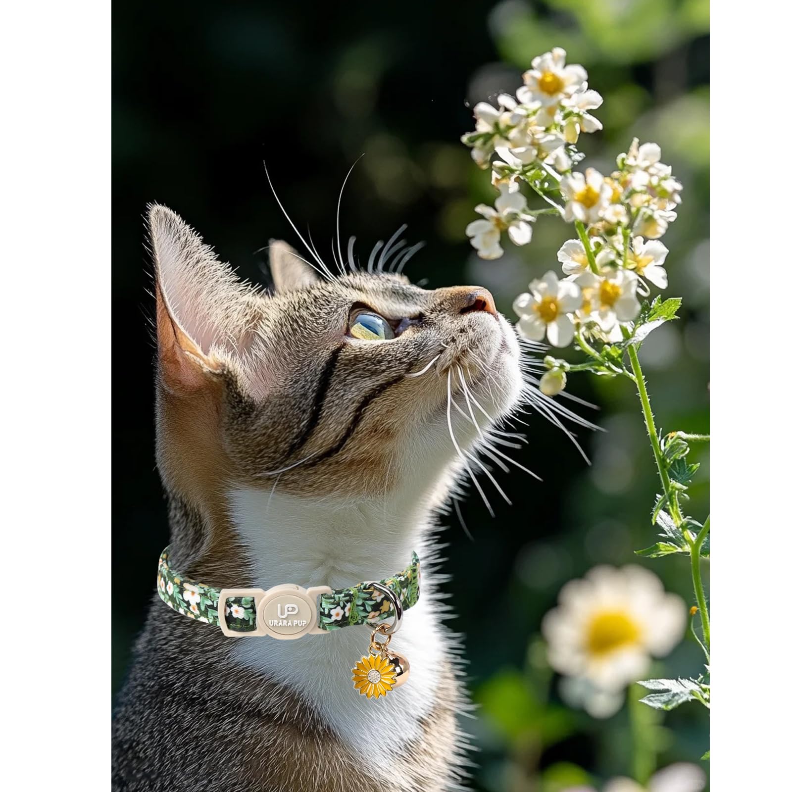 Up Urara Pup Cat Collar, 2Pack Flower Cats Collars-Cute Summer Breakaway Cat Collar With Bell & Pendant, Pretty Flower Kitten Co