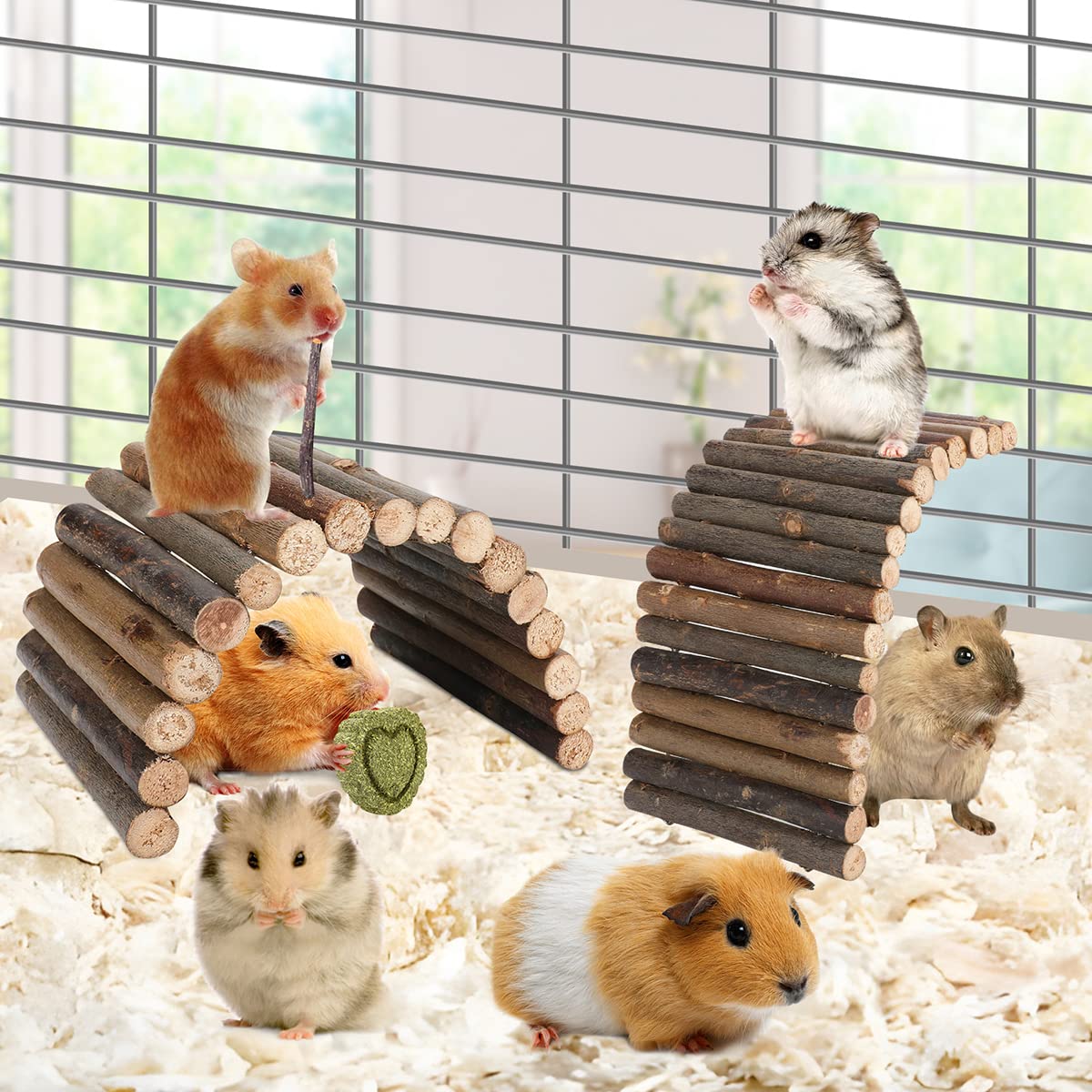 Hamster Toys Guinea Pig Toys Hamster Wheel Hamster Cage Accessories Small Animal Molar Chew Toys For Chinchillas,Gerbils,Mice,Ra