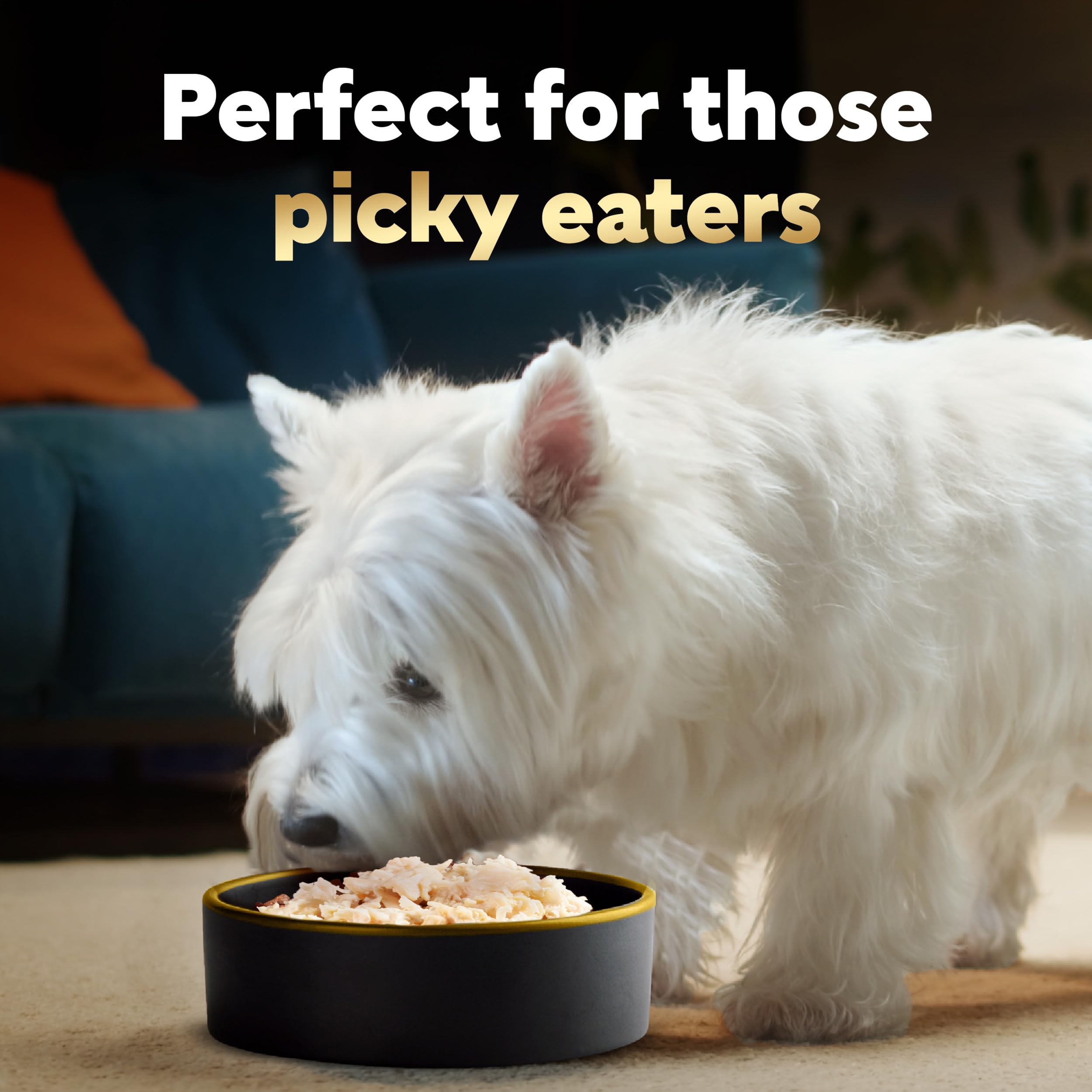 Cesar Simply Crafted Adult Wet Dog Food Meal Topper, Chicken, 1.3 oz. (10 Count, Pack of 1)
