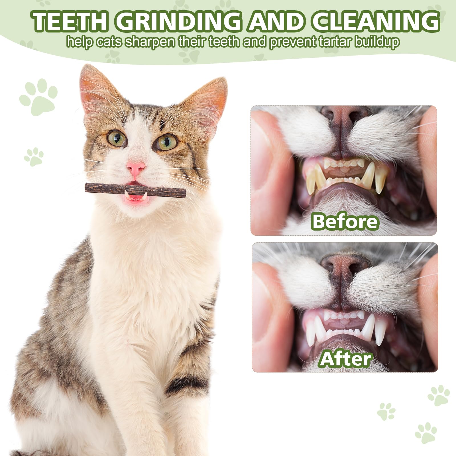 Wousedo 6 Pack Silvervine Sticks Cat Toy, Natural Chew Stick For Dental Care Teeth Cleaning,Matatabi Cat Nip Treat Toys For Indo