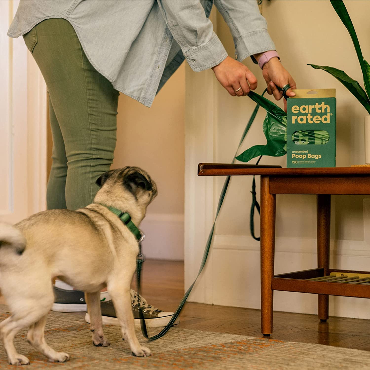 Earth Rated Dog Poop Bags With Handles, New Look, Easy Tie And Guaranteed Leakproof, Unscented, 120 Handle Bags