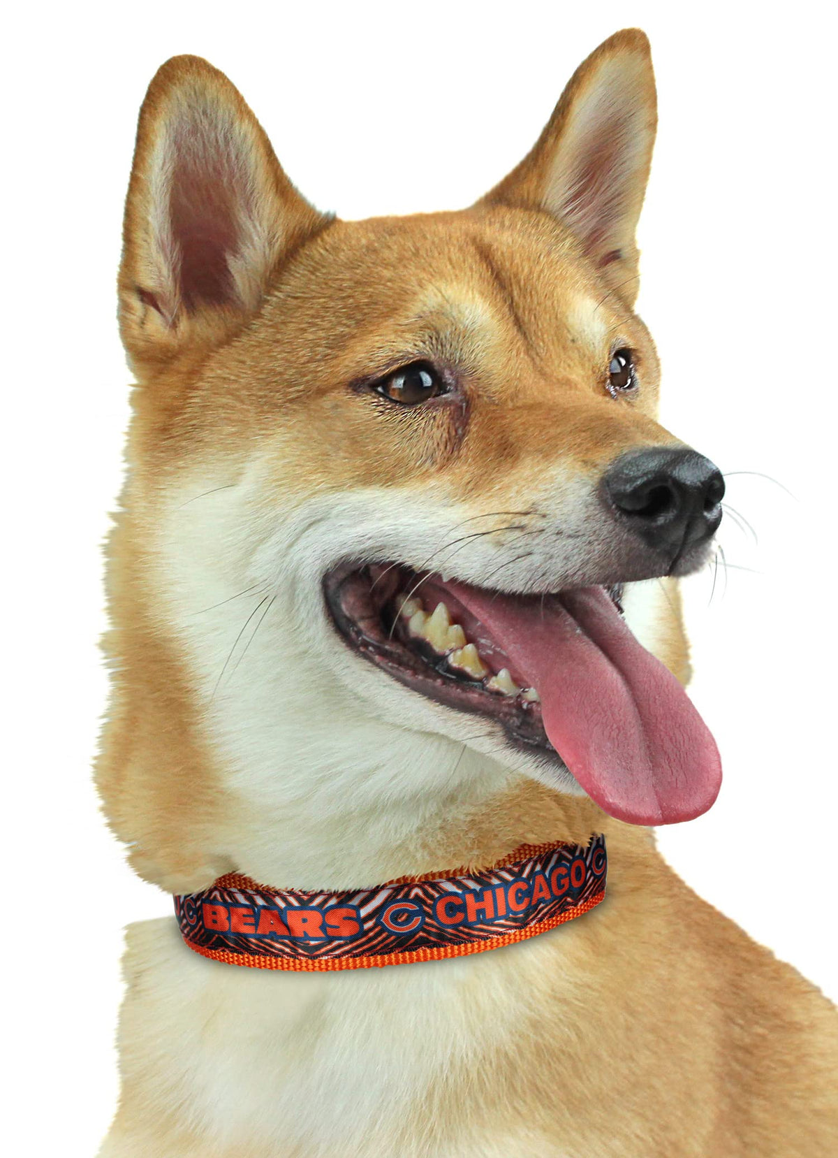 Zubaz Nfl Team Adjustable Pet Collar For Dogs & Cats, Chicago Bears, Medium