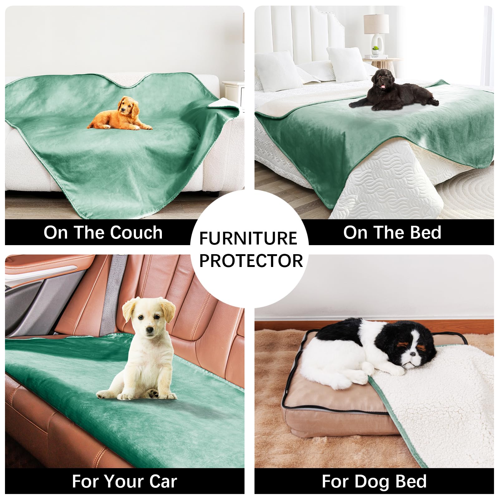 Bigbeer Waterproof Dog Blankets For Small Dogs, Washable Pet Blanket For Indoor Cats, Plush Sherpa Puppy Throw Furniture Protect