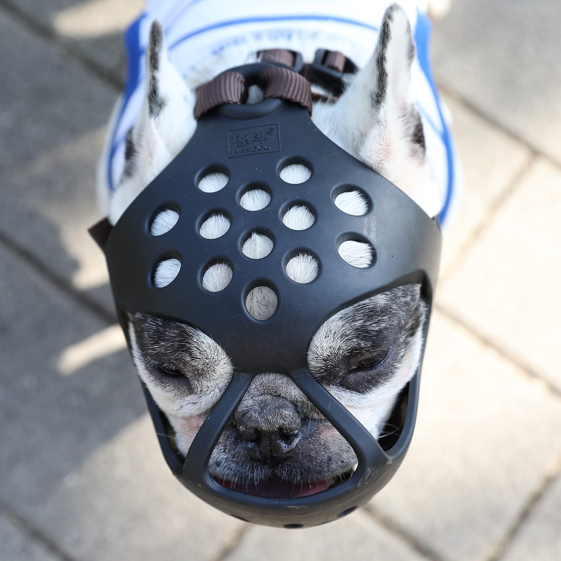 Jyhy Short Snout Dog Muzzles,Soft Silicone Adjustable Breathable Bulldog Muzzle For Biting Chewing Barking Training,Ideal For Fl