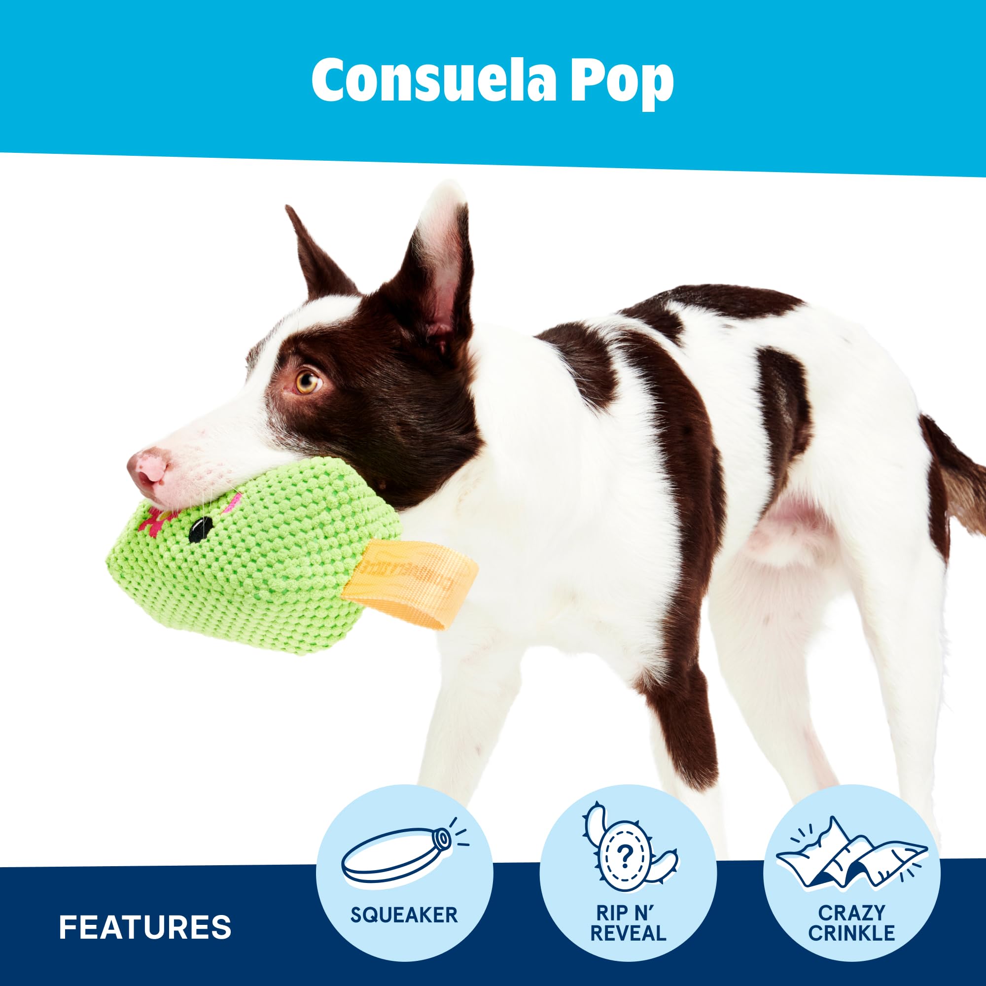 Barkbox BARK Consuela The Cactus Pop - 2-in-1 Summer Plush Dog Toy with Squeaker & Crinkle Layers - Interactive Ice-Cream-Themed