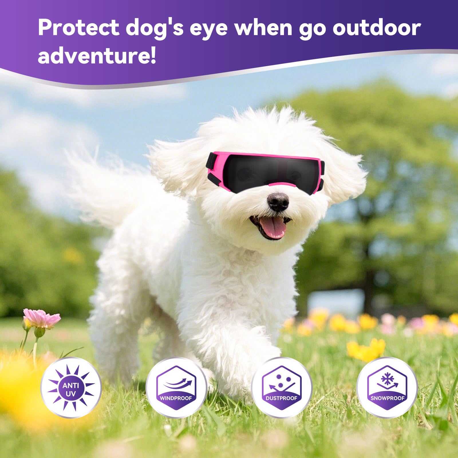 Enjoying Dog Goggles Small Breed, Puppy Sunglasses Uv Protection, Outdoor Ash Prevention, Driving Dog Eye Protection, Antifog Wi
