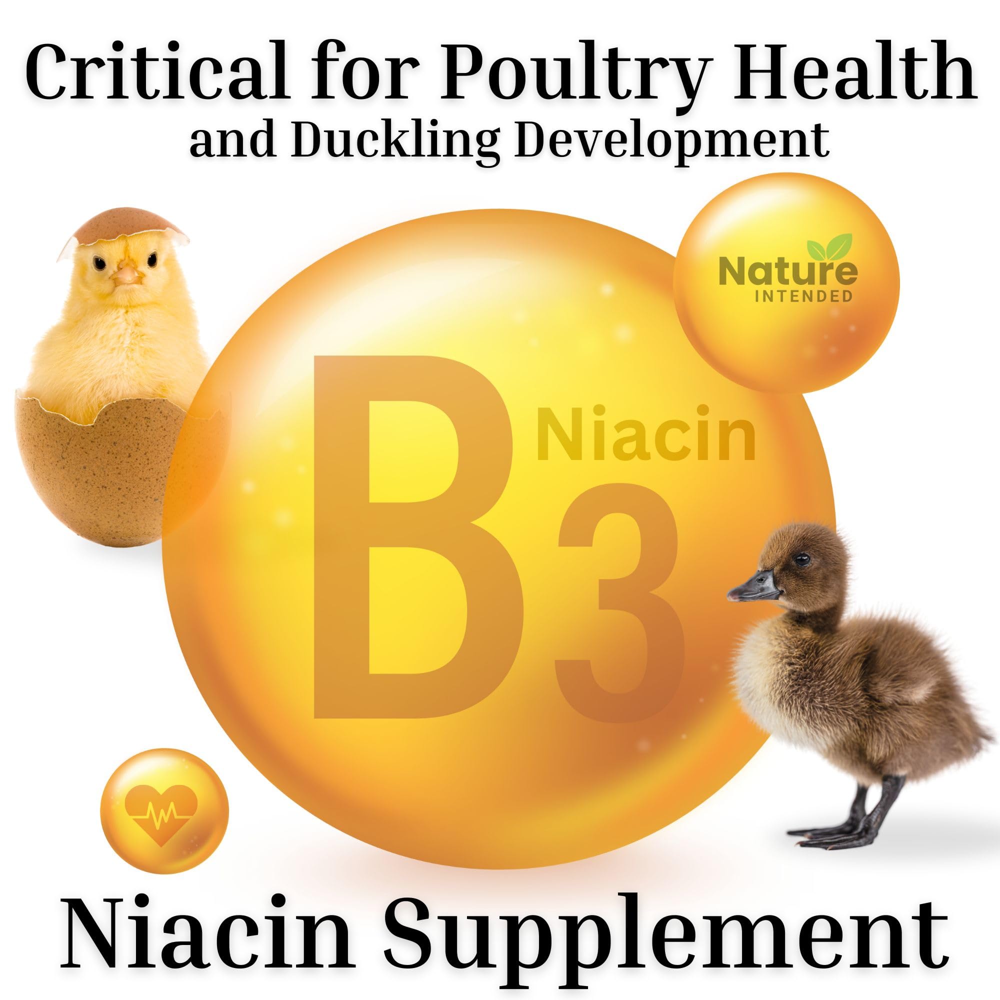 Health Multiplier Brewers Yeast for Ducks, Chicken Probiotic, Niacin for Ducks, Chicken Vitamins, Chick Probiotics, Baby Chick