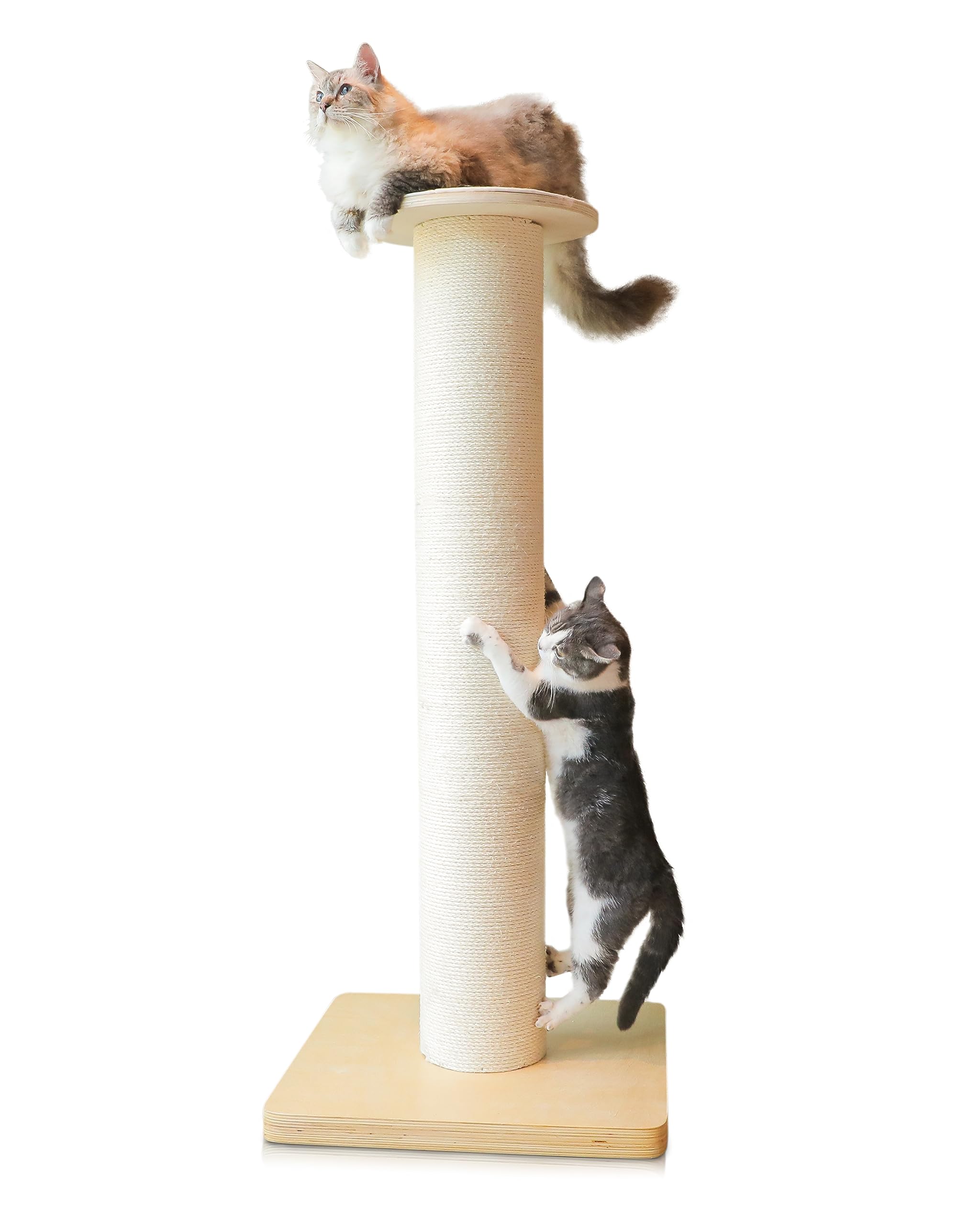 Konelcare 50'' Tall Cat Scratching Post, Extra-Large Cat Scratch Post For Biggest Cats (Maine Coon), 7.3    Thick Post, 36Lbs We