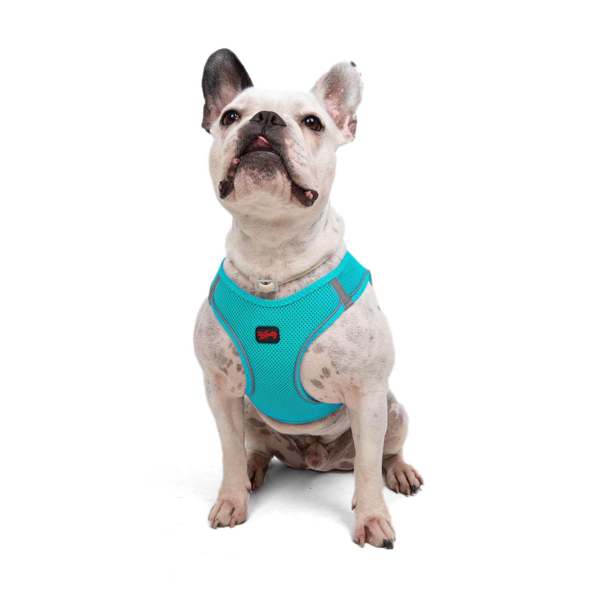Tailpetz Light Blue Dog Harness, Adjustable Step in No Pull Dog Harness for Large Dog, Reflective Puppy Harness for Puppy Traini