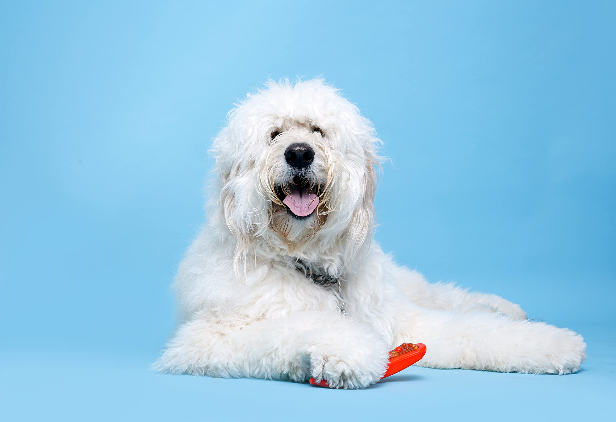 Chew 'N Clean Dental Duo Bacon Flavored Dental Dog Treat & Chew, Color Varies, Extra Large