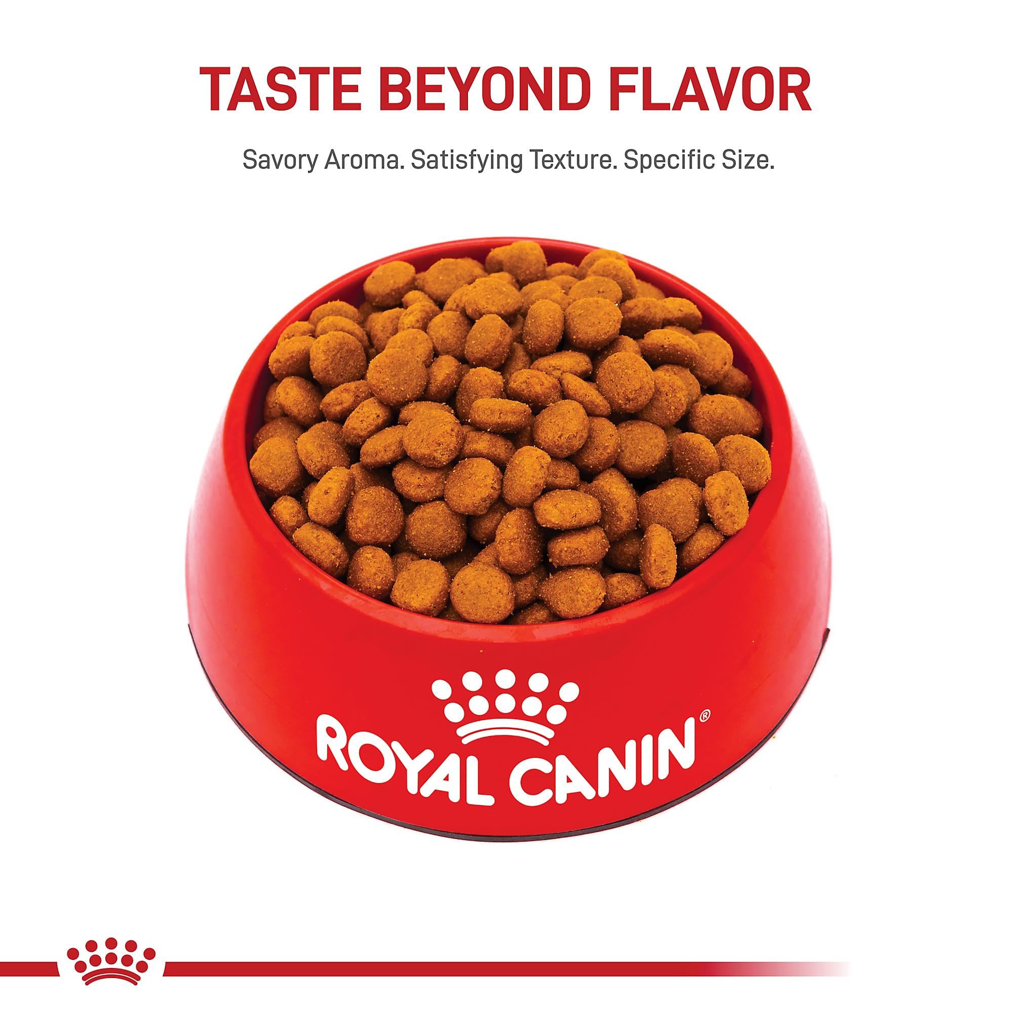 Royal Canin Large Breed Adult Dry Dog Food, 30 lb Bag